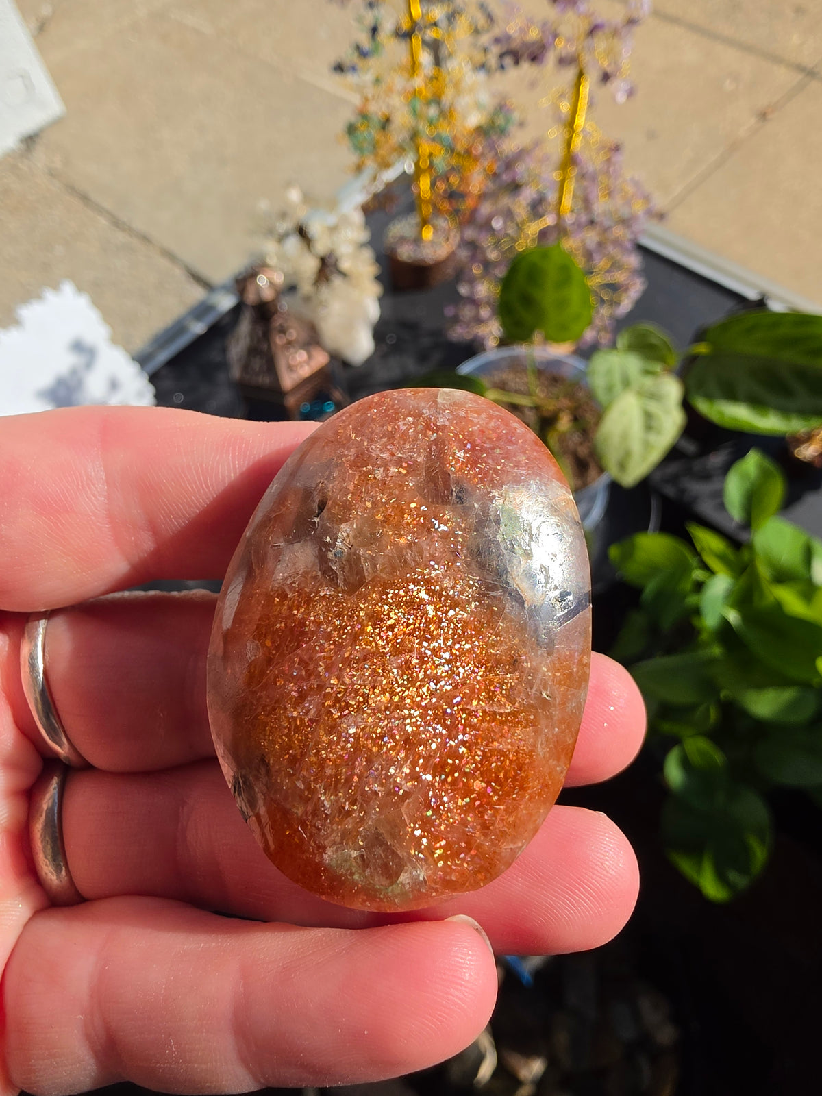 Arusha Sunstone Palm Stone