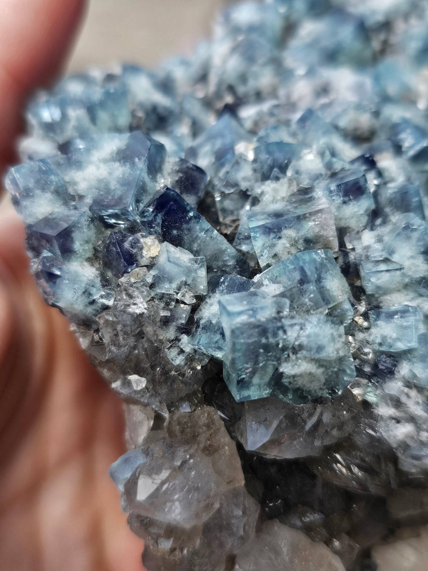 Diana Maria Fluorite