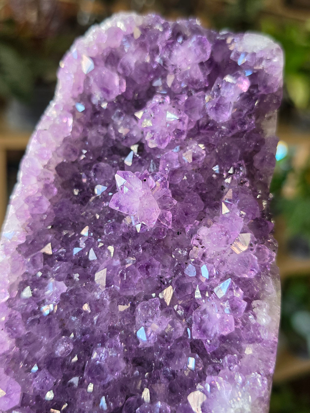 Cut Base Amethyst Cluster