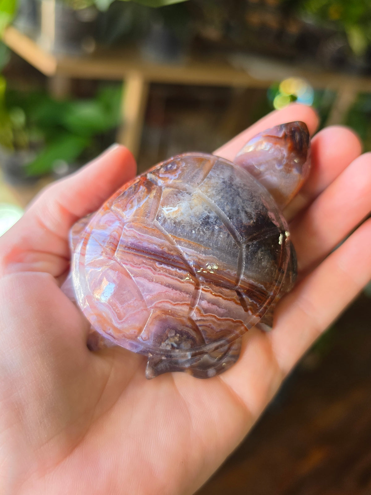 Amethyst Agate Turtle Carving