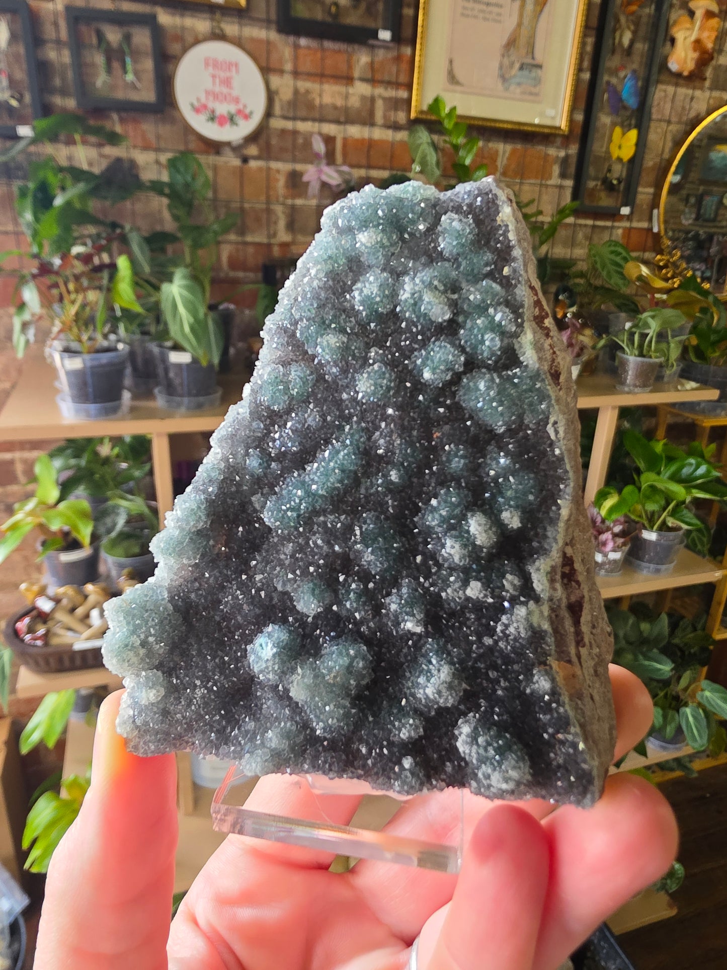 Quartz Druzy on Malachite