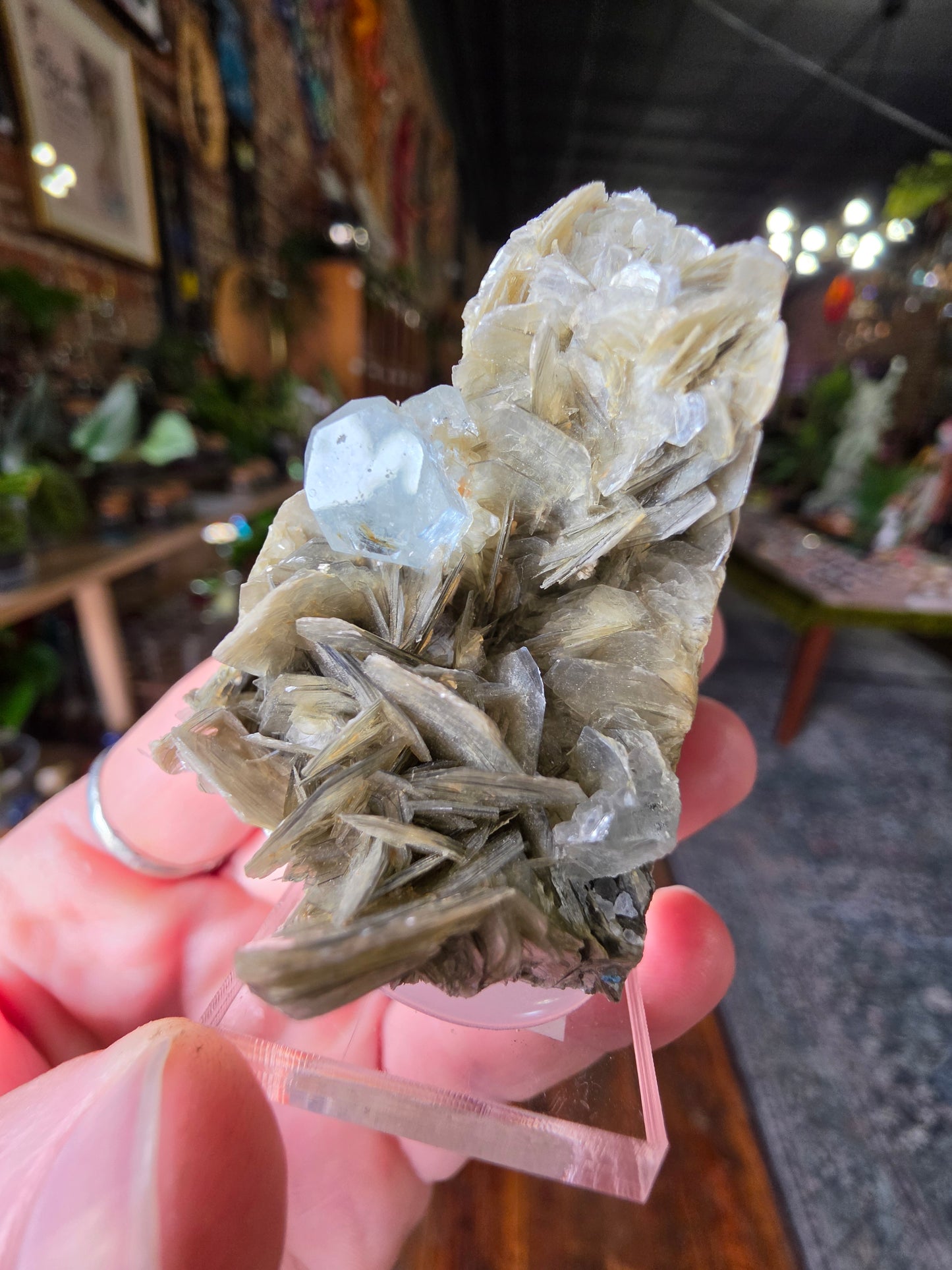 Aquamarine on Muscovite