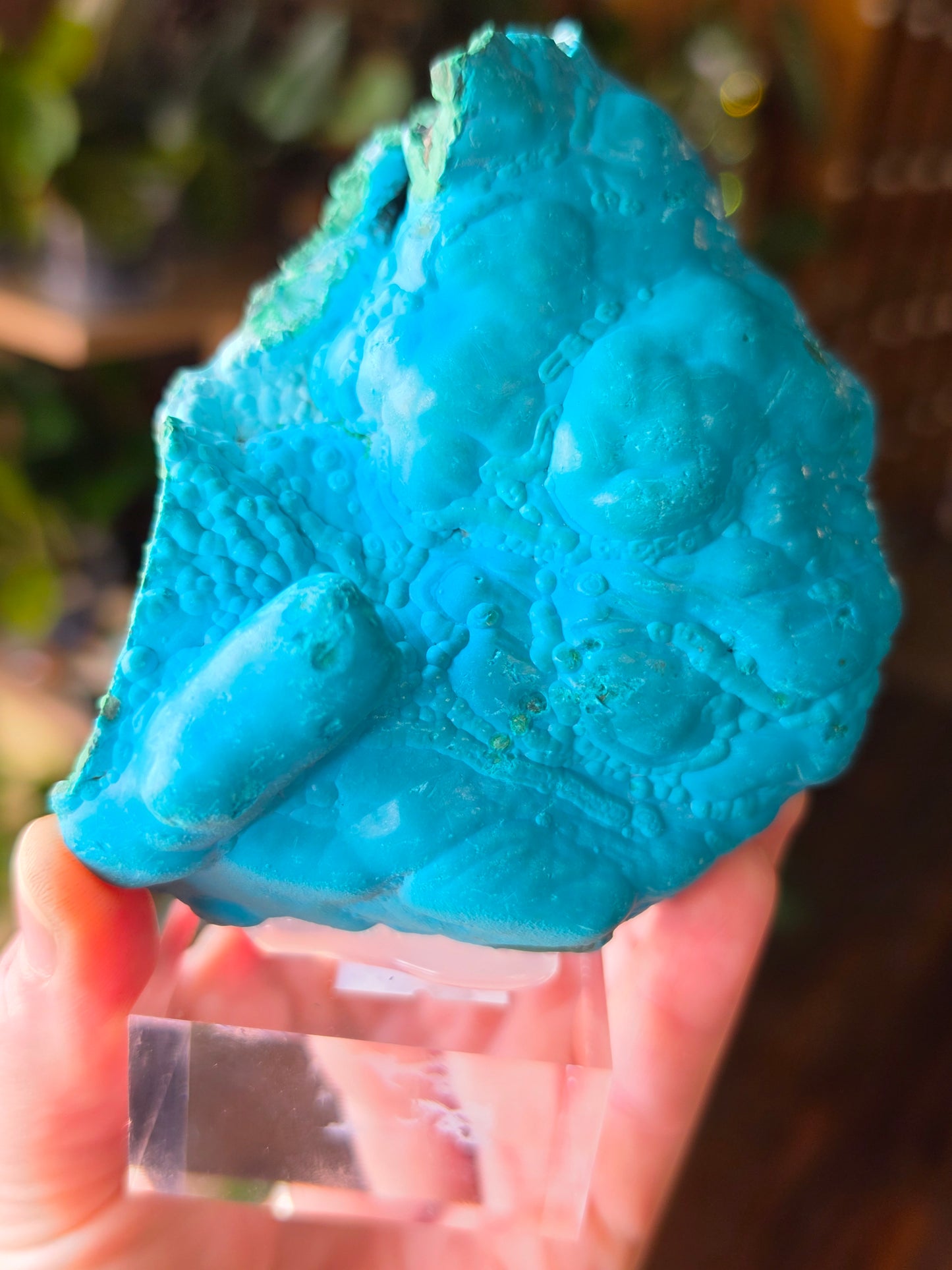 Chrysocolla and Malachite Specimen