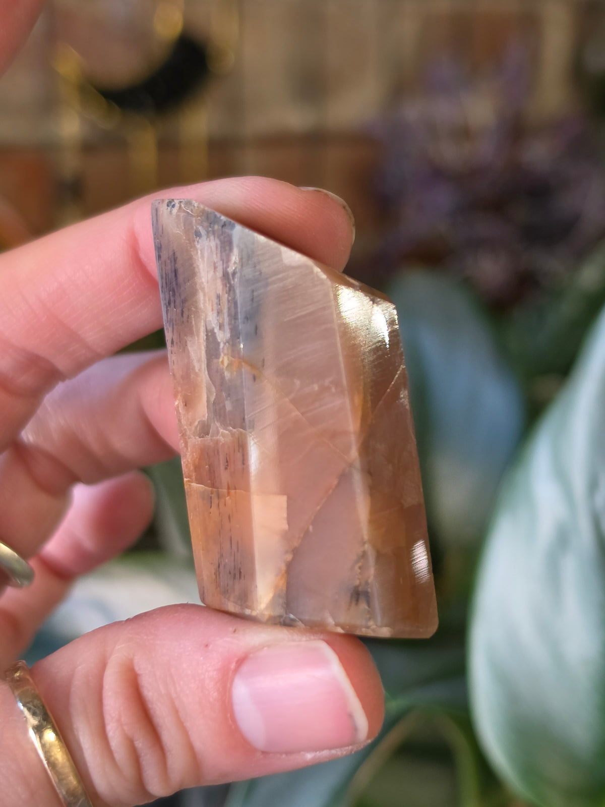 Black Sunstone