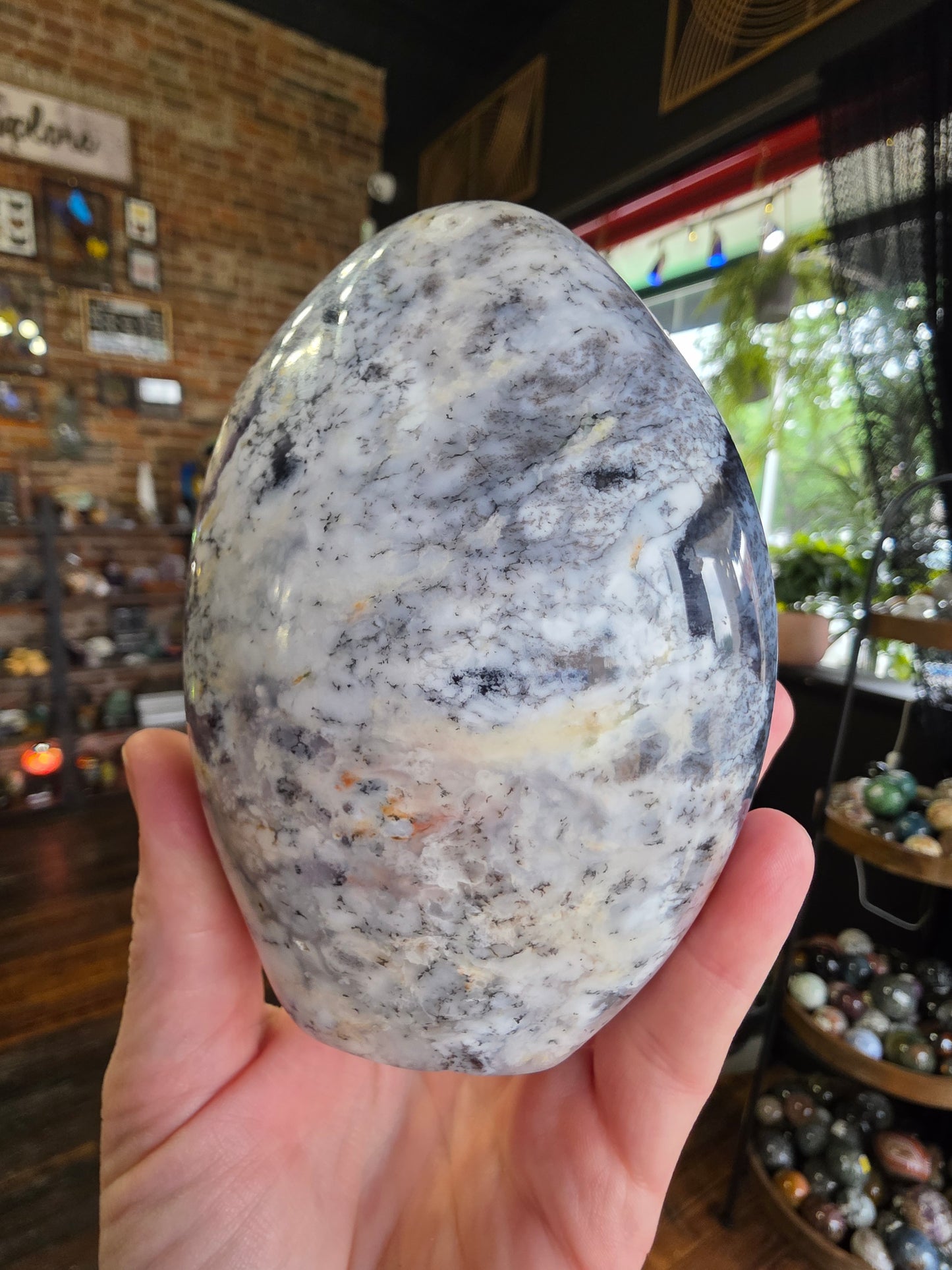 Dendritic Common Opal