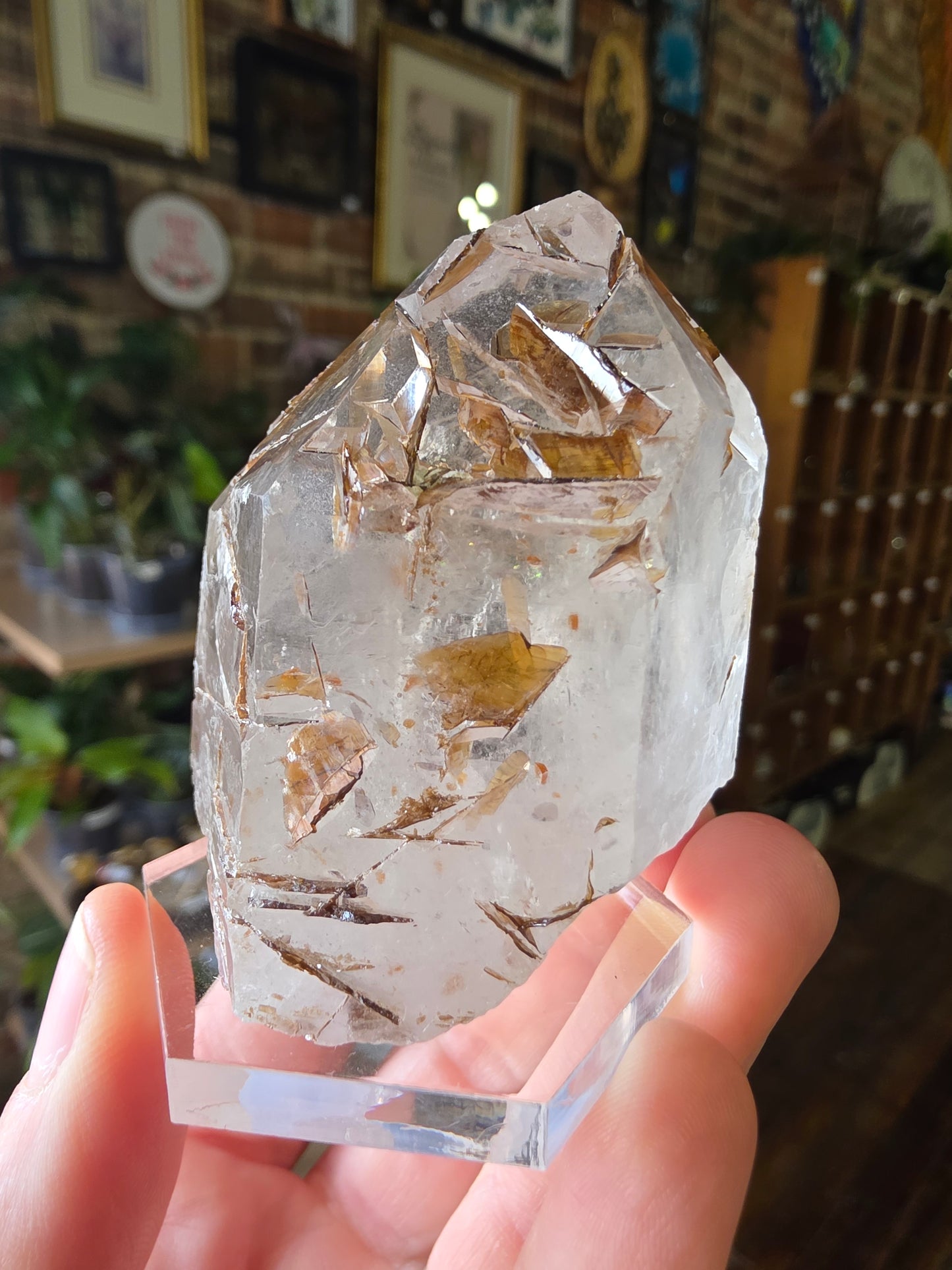 Brookite in Quartz
