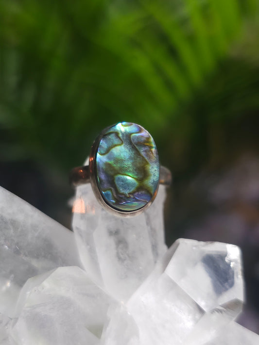 Size 6 Abolone ring