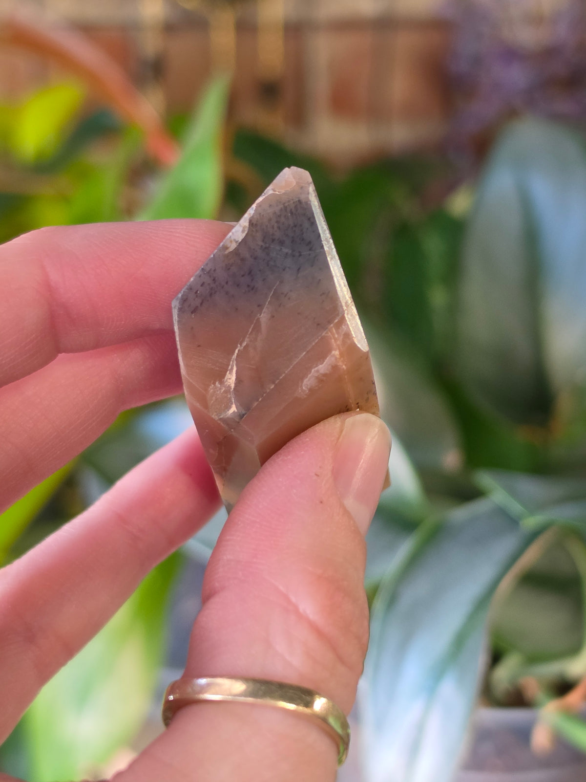 Black Sunstone