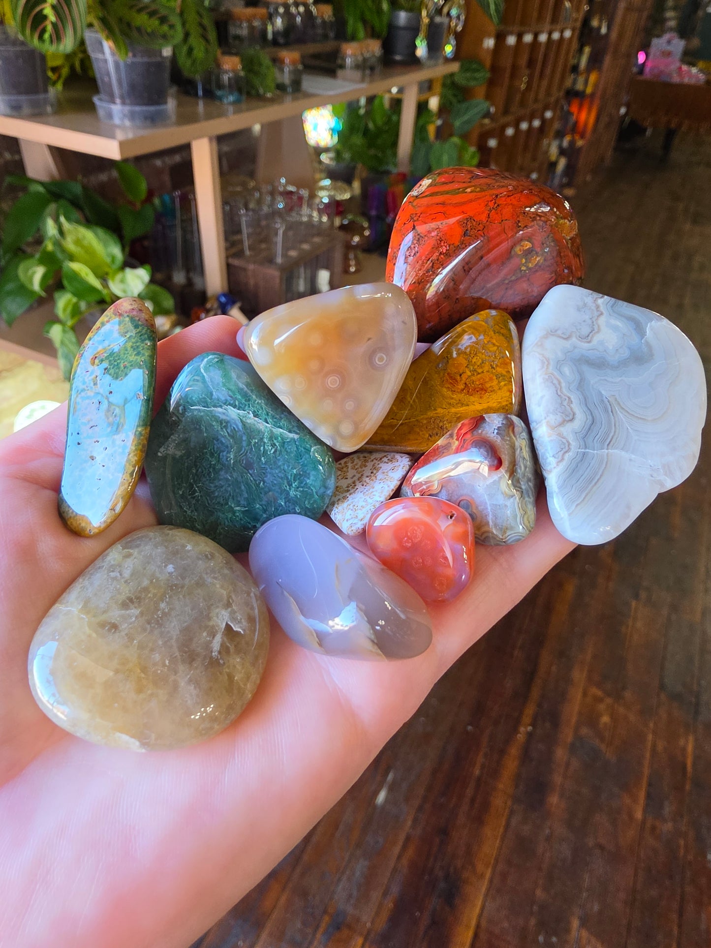 Mixed Tumble Lot #5