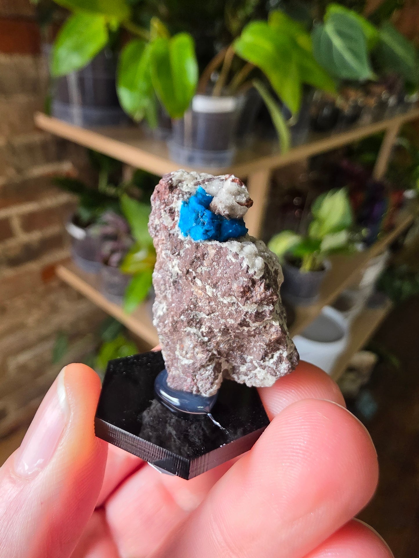 Cavansite On Matrix
