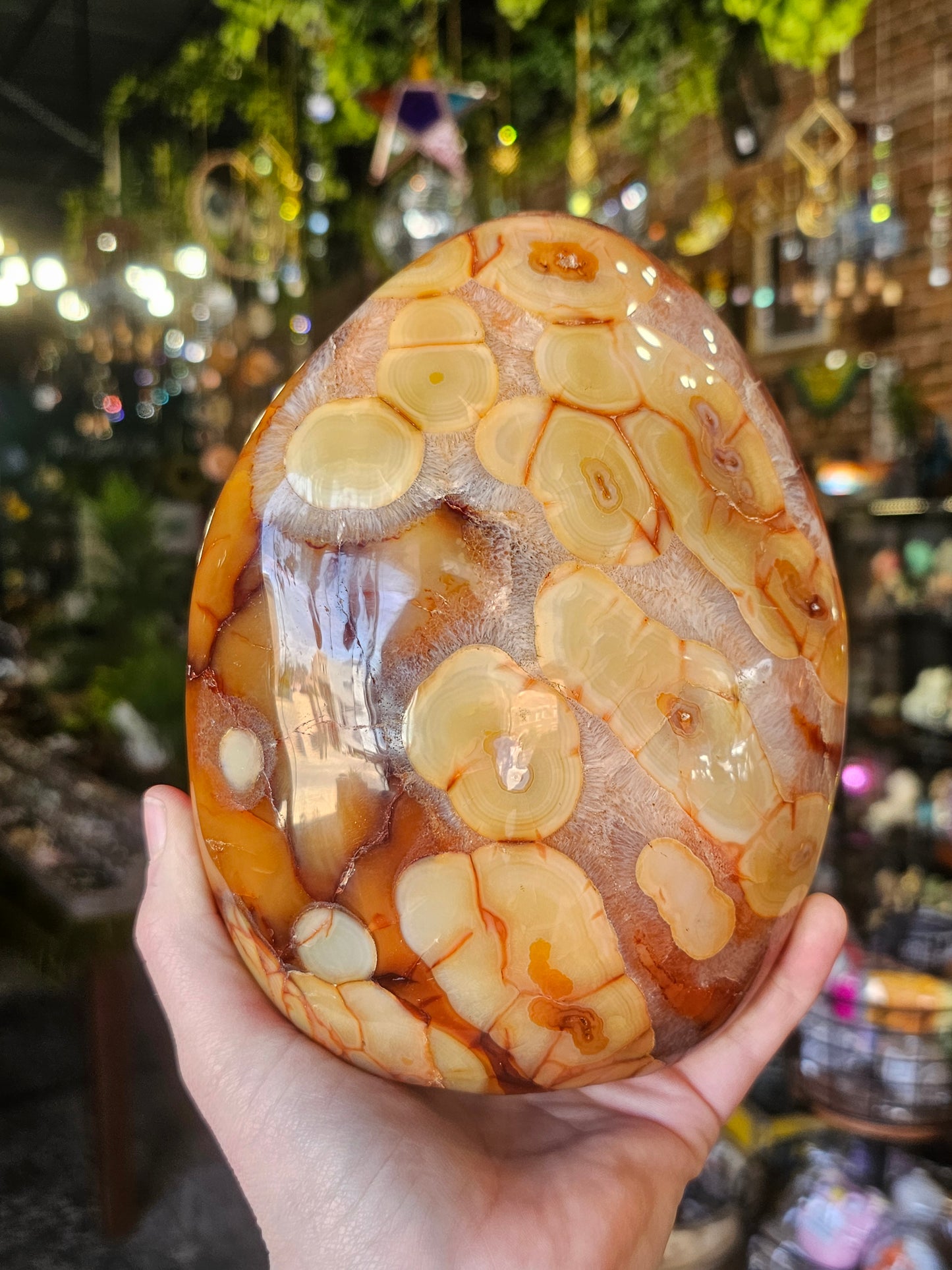 Carnelian Agate Freeform
