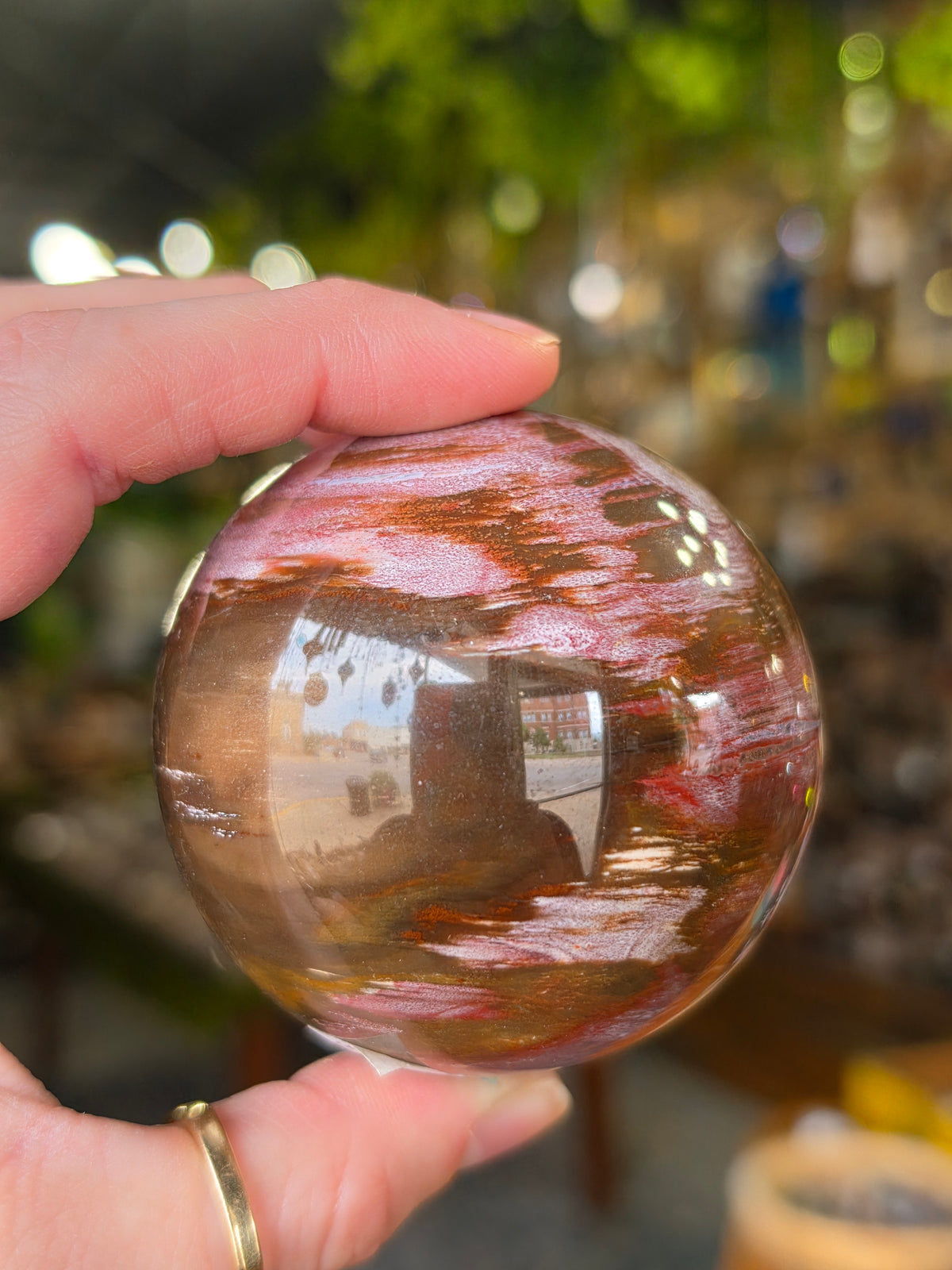Petrified Wood Sphere