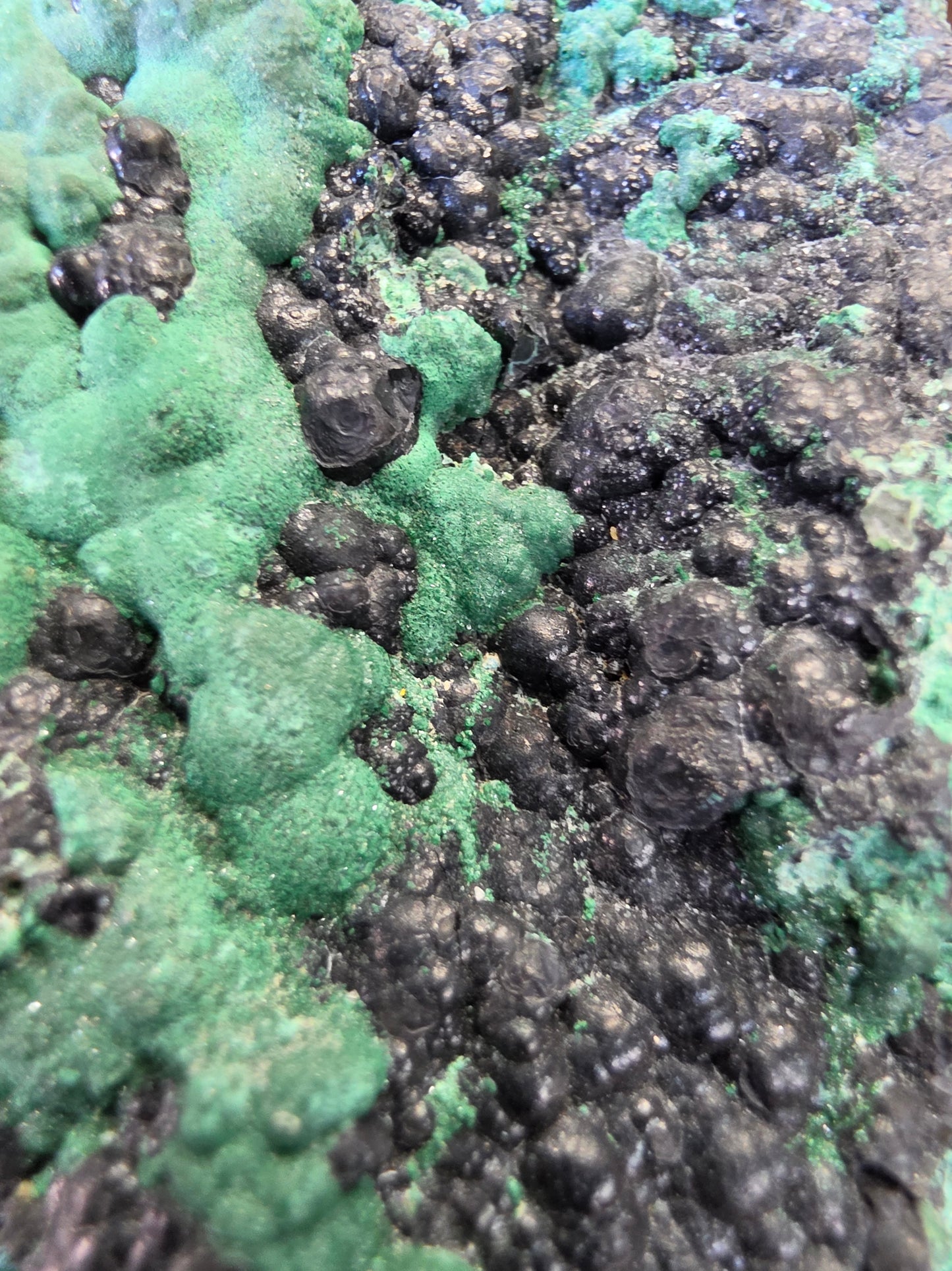 Heterogenite on Malchite
