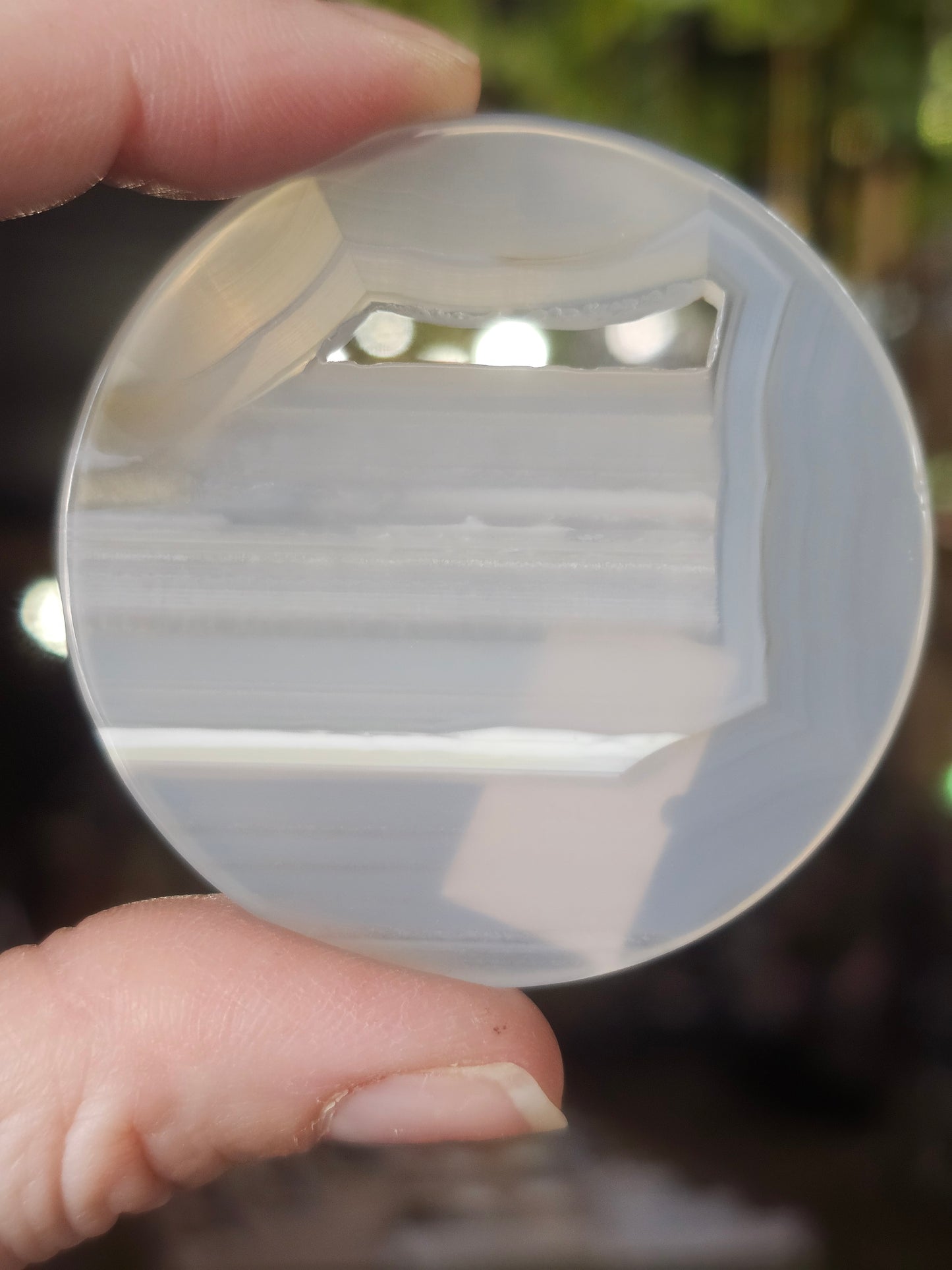 Flower Agate Disc