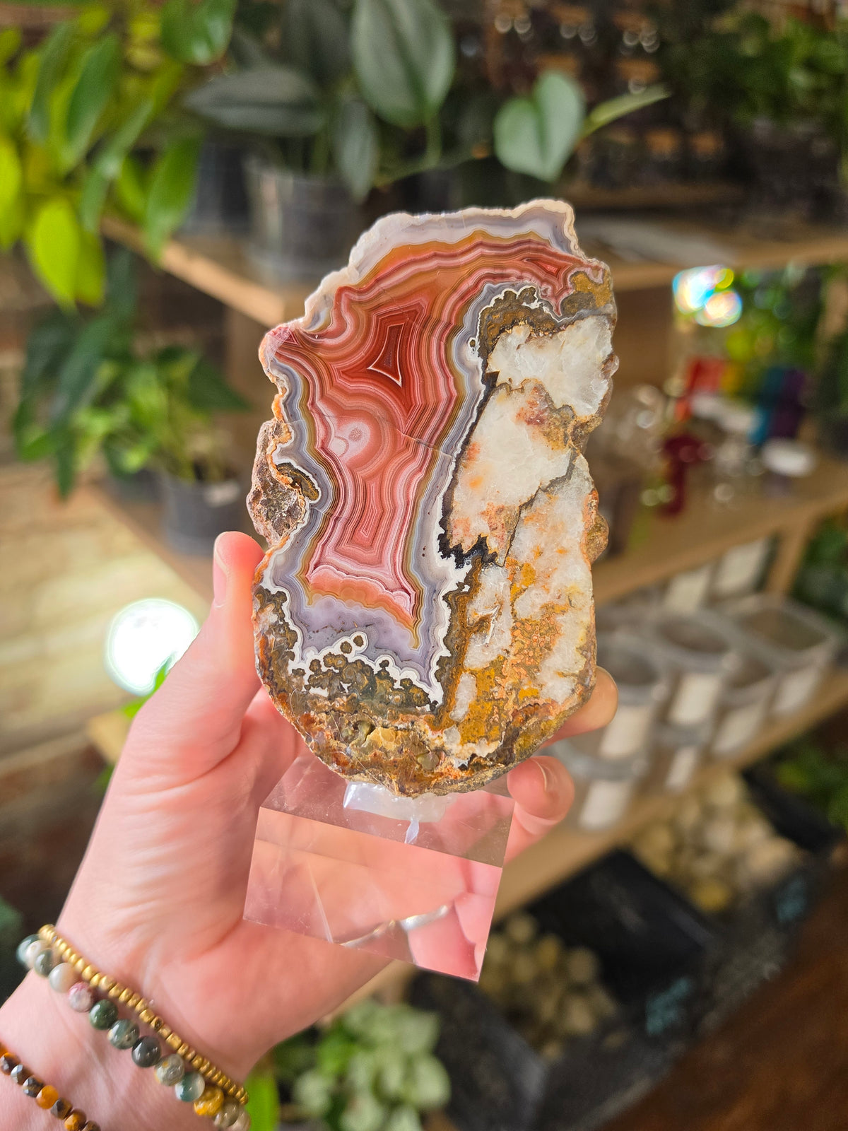 Laguna Agate ( With Parallax)
