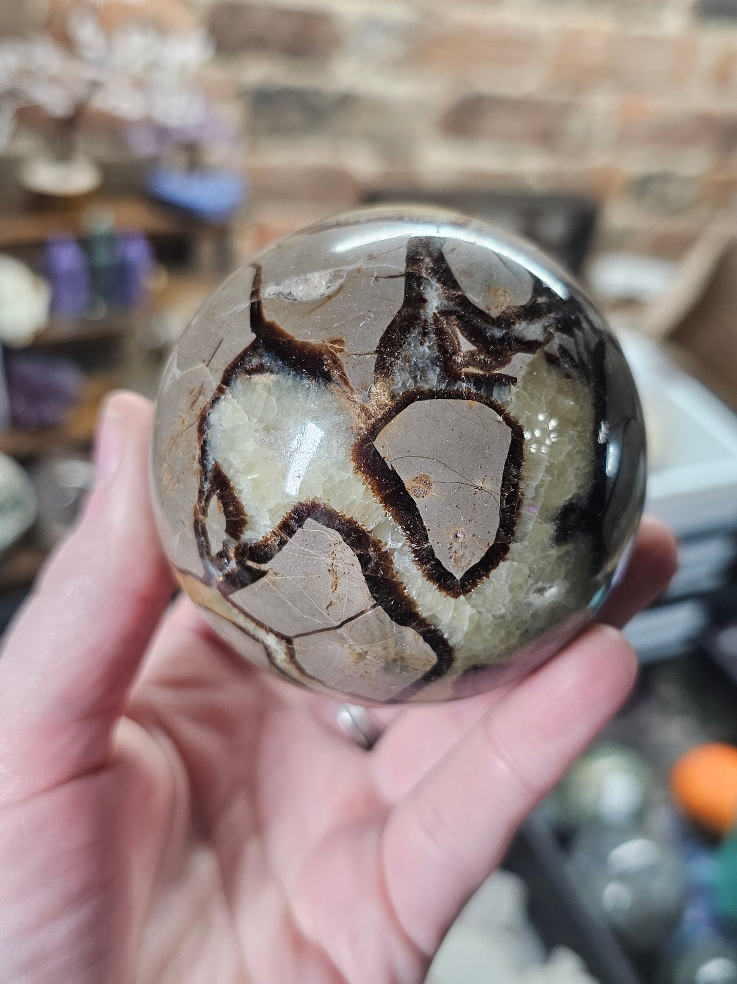 Septarian Nodule Sphere