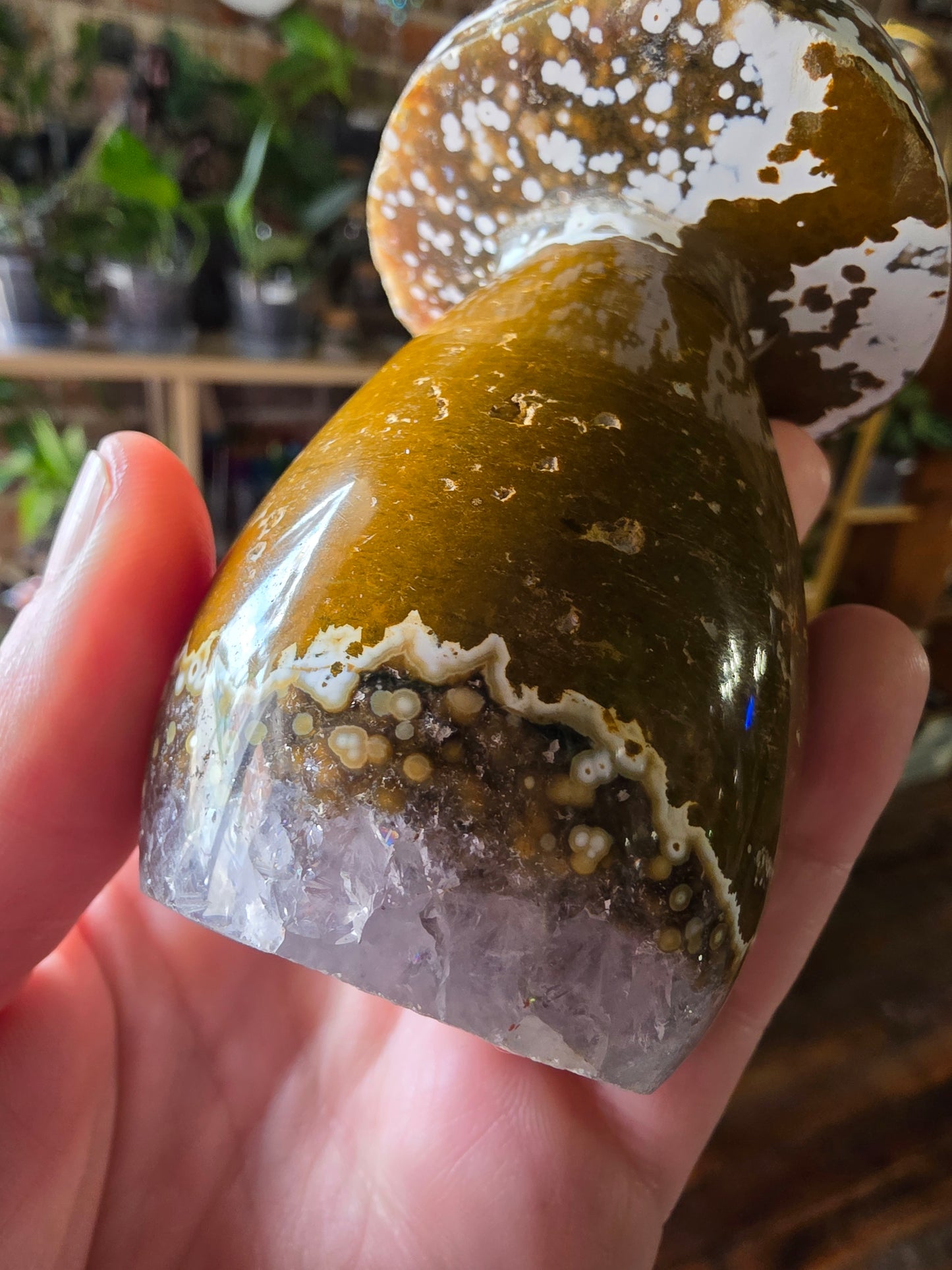 Orbicular Jasper Mushroom