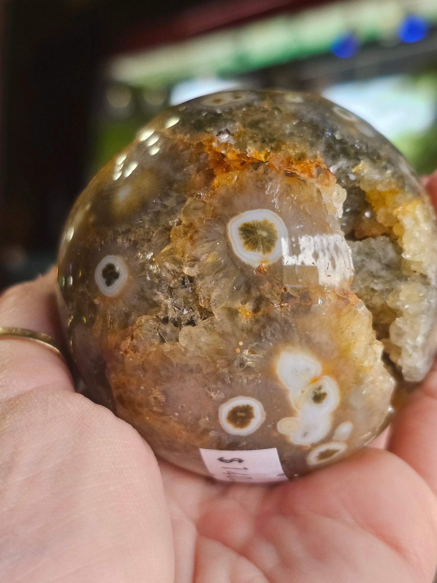 Ocean Jasper