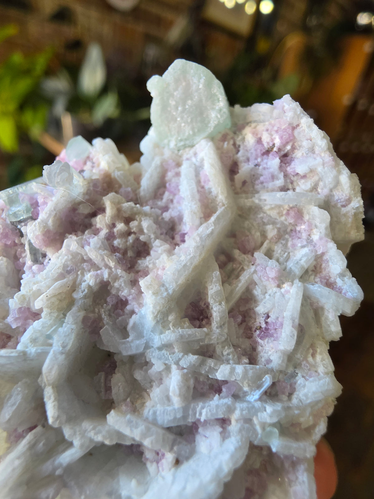 Blue Tourmaline and Lepidolite on Cleavlandite