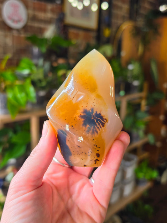 Dendritic Agate Flame