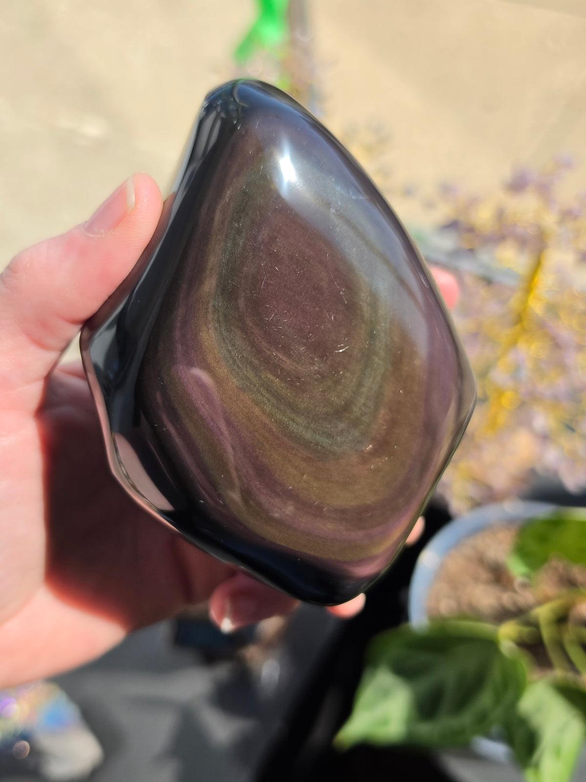 Rainbow Obsidian Freeform
