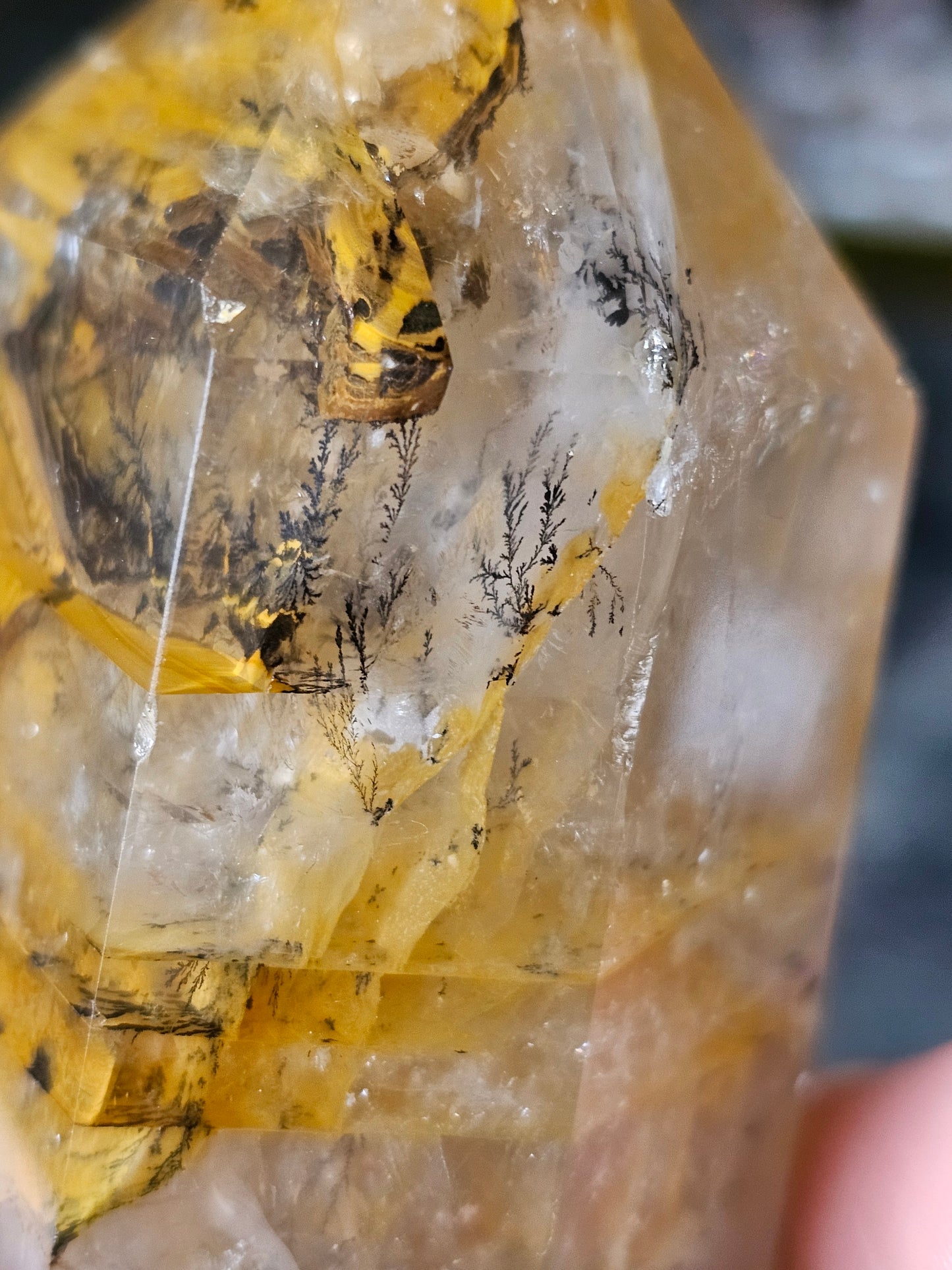 Dendritic Golden Healer Point