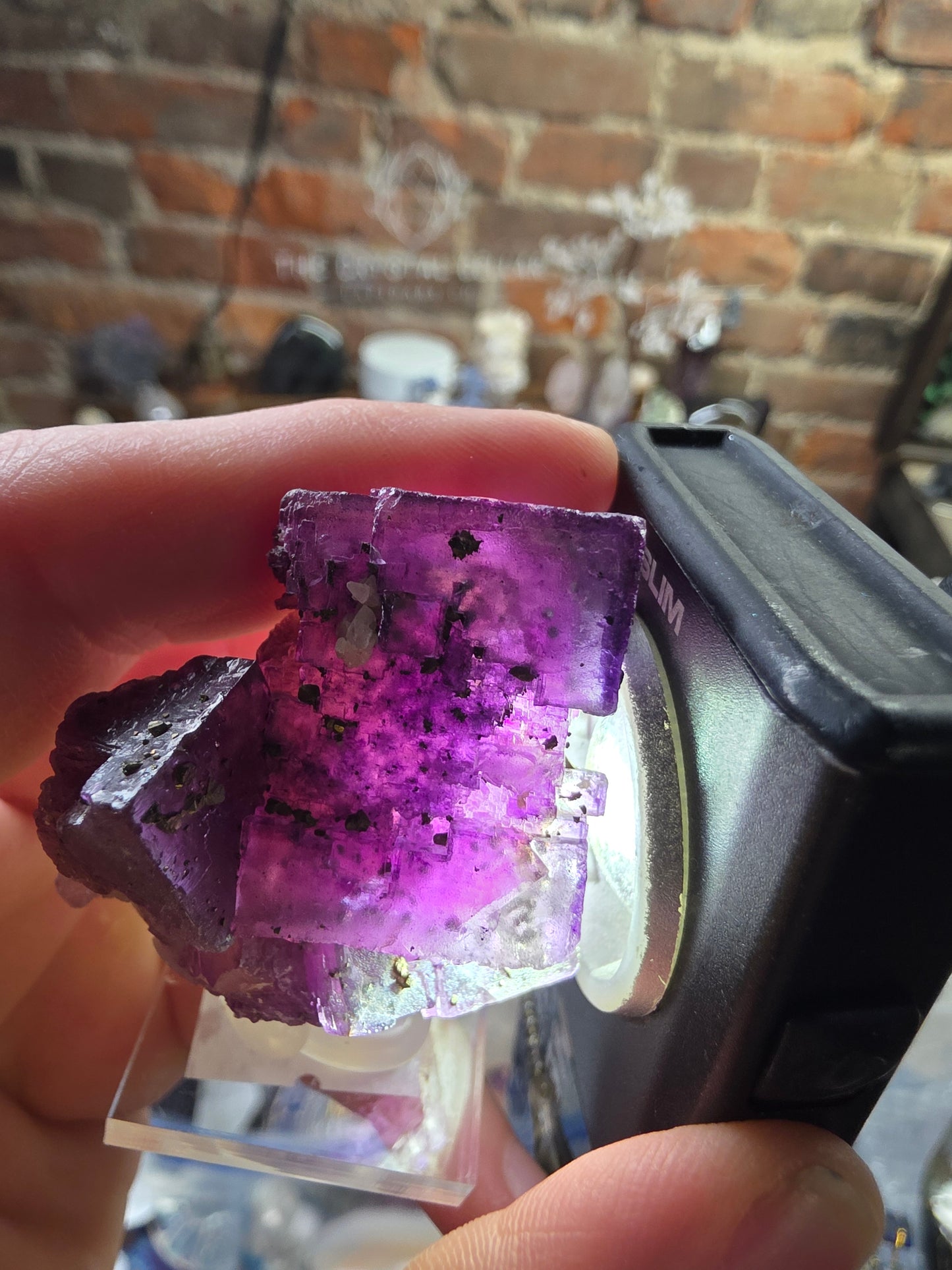 Pyrite on Fluorite