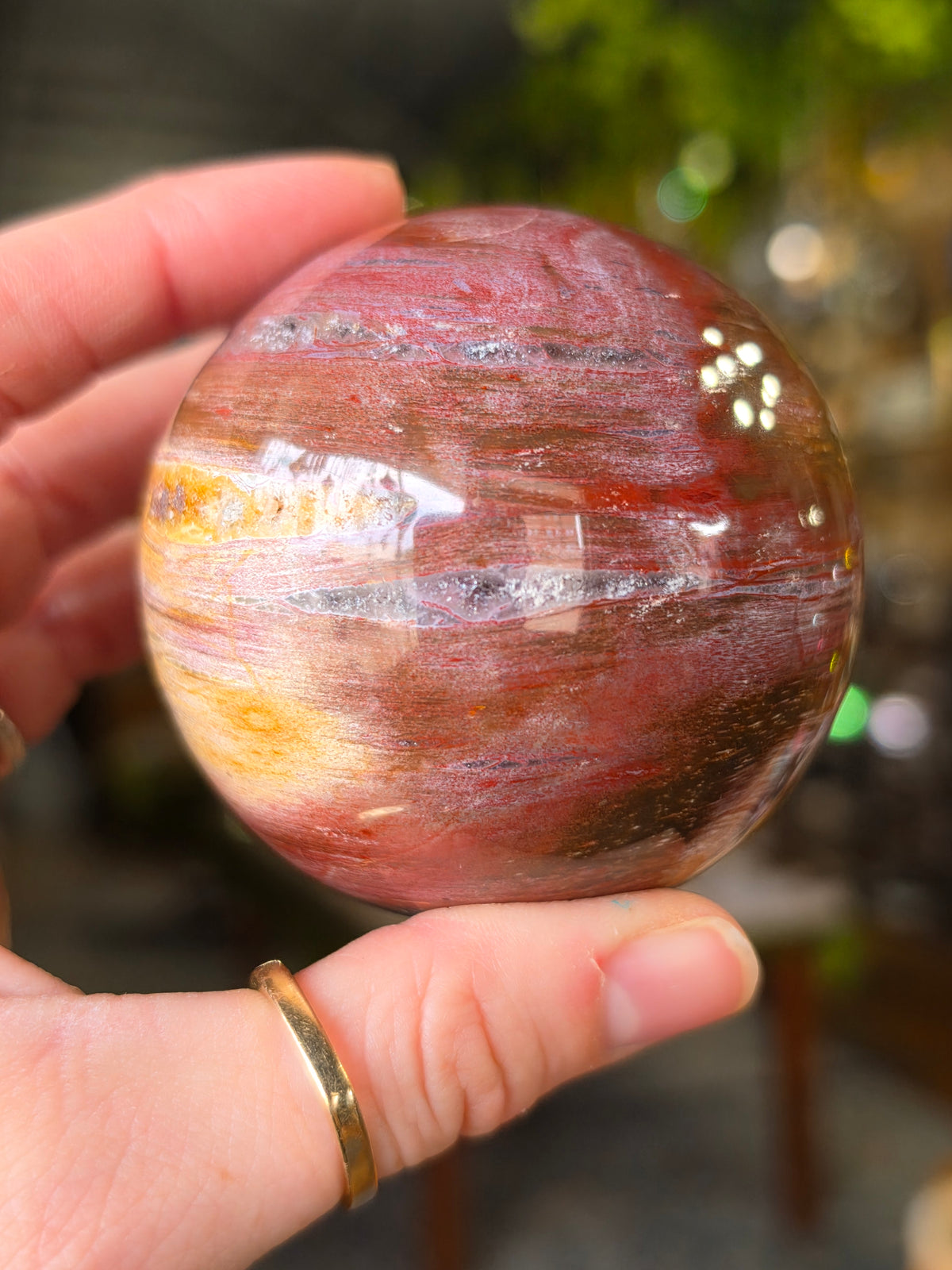 Petrified Wood Sphere