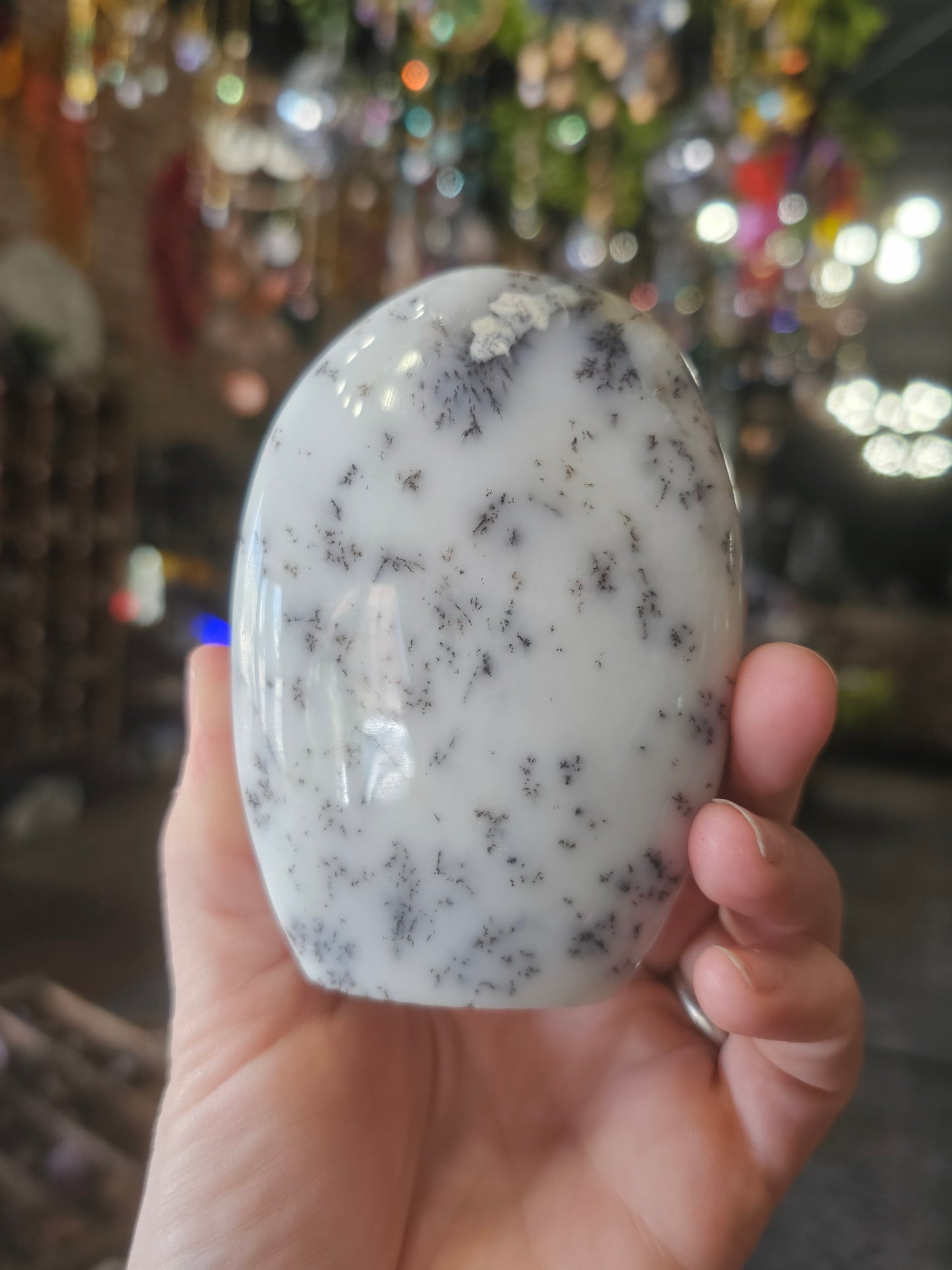 Dendritic Common Opal Freeform