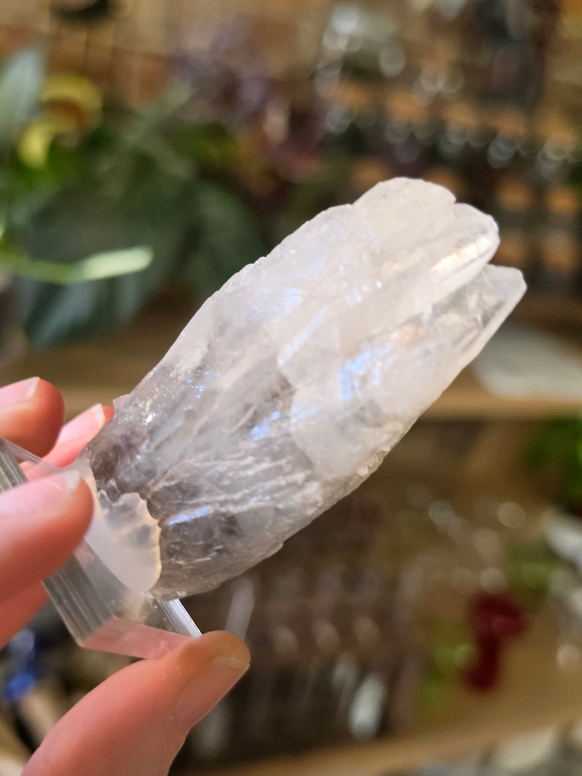 Phantom Calcite