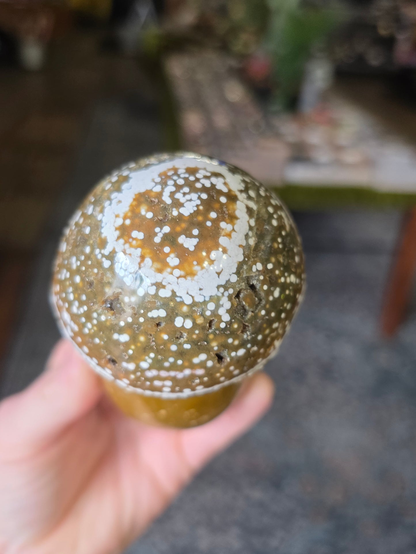 Orbicular Jasper Mushroom