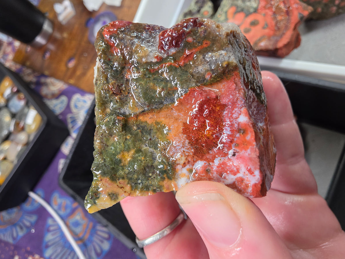 Orbicular Jasper Rough