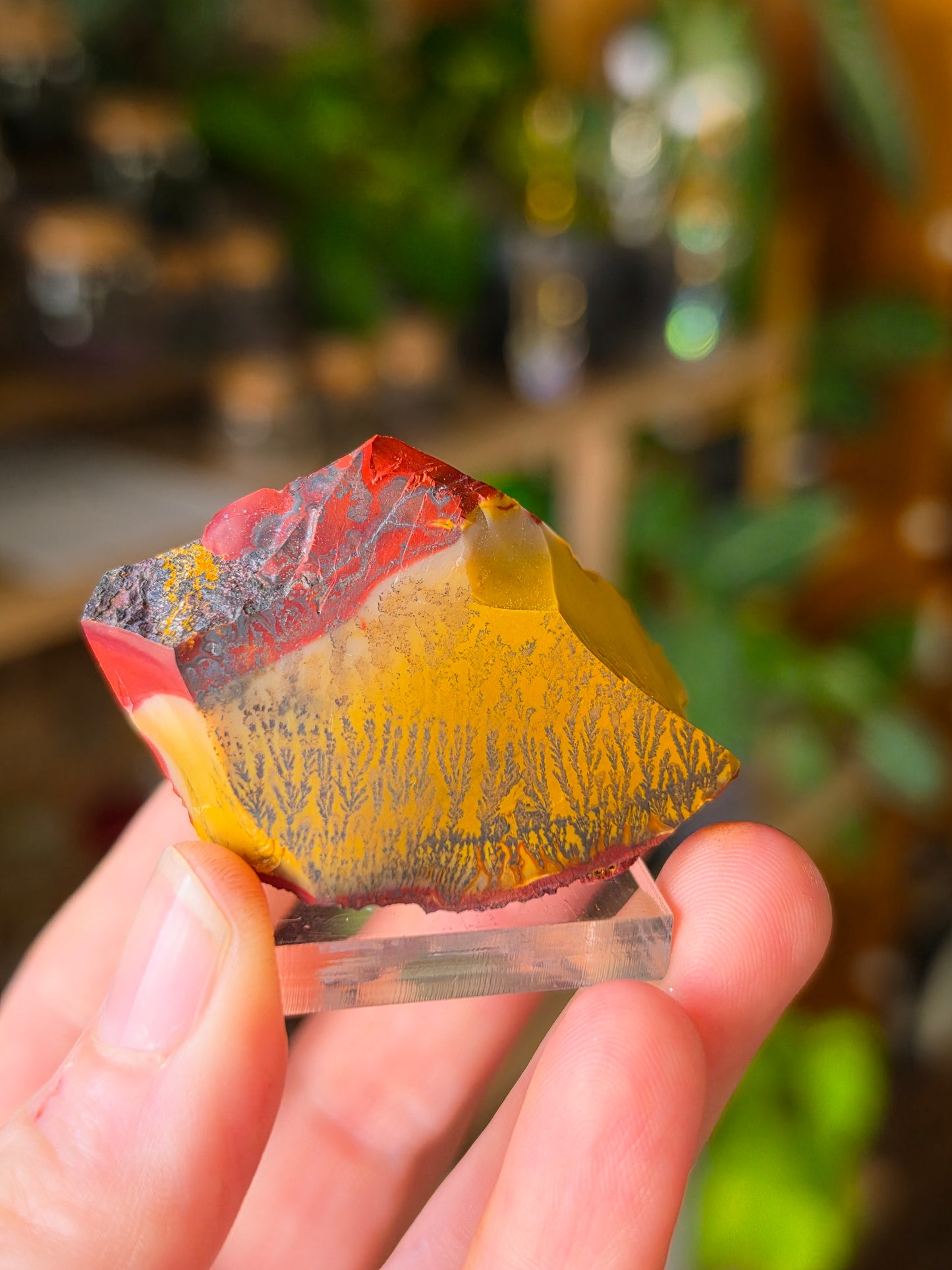 Mookaite with Dentrites