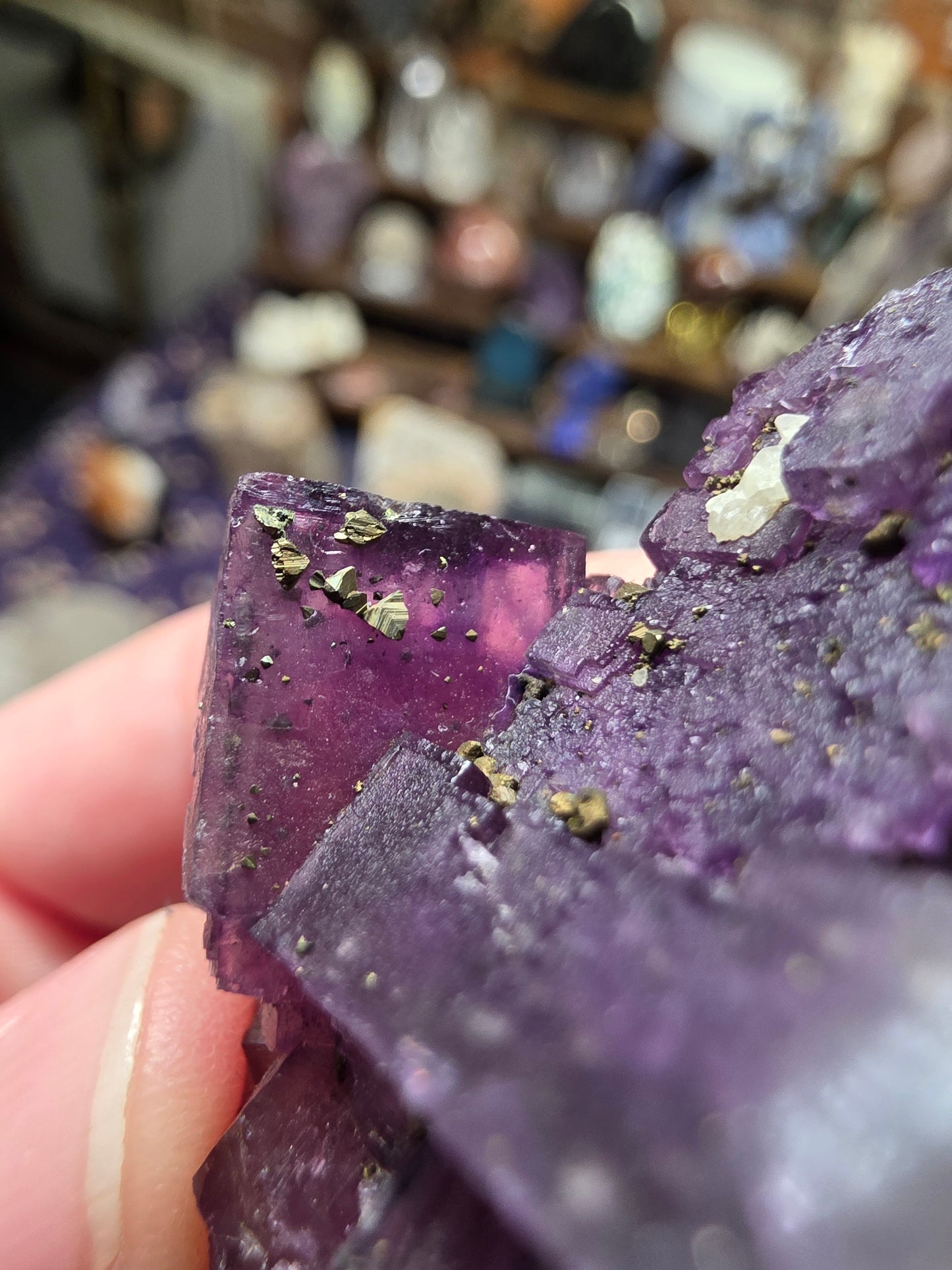 Pyrite on Fluorite
