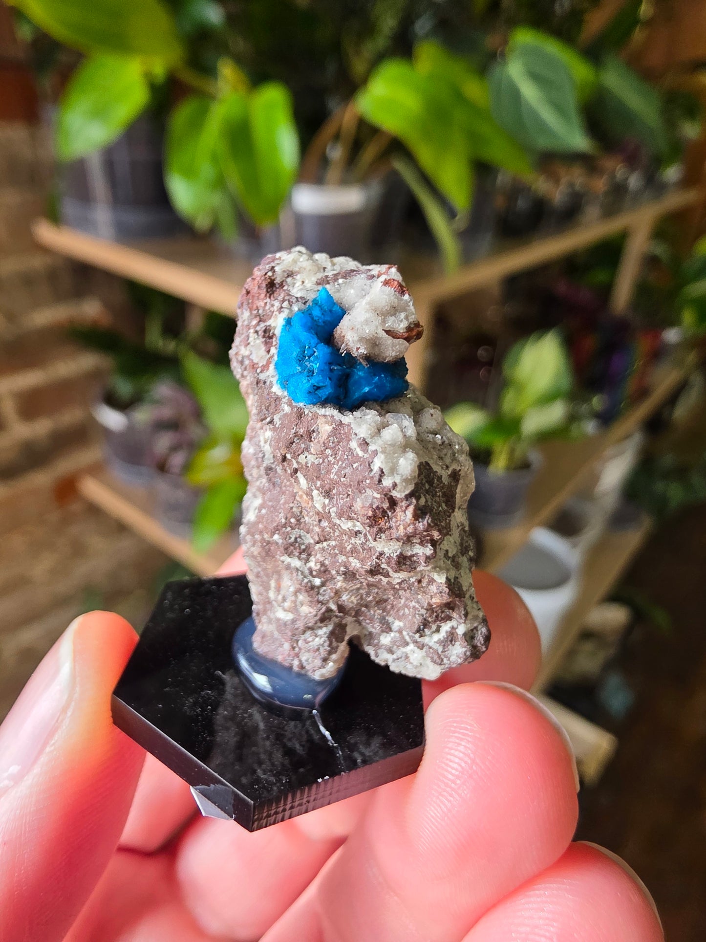 Cavansite On Matrix