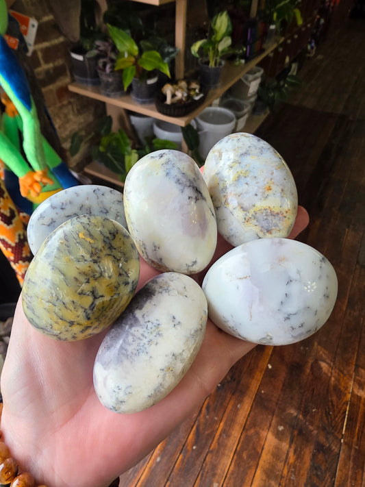 Dendritic Common Opal Palm Stone