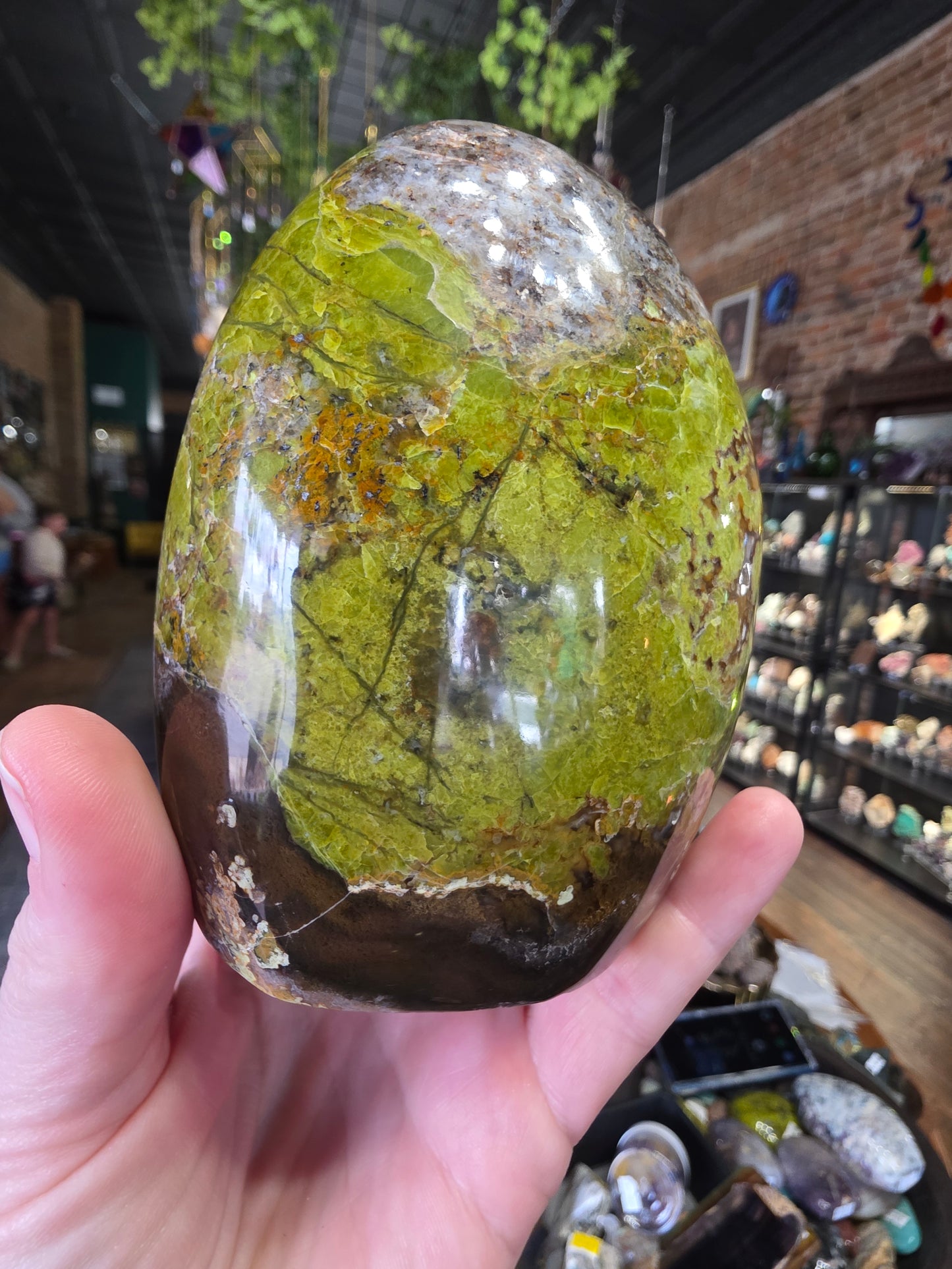 Green Common Opal Freeform