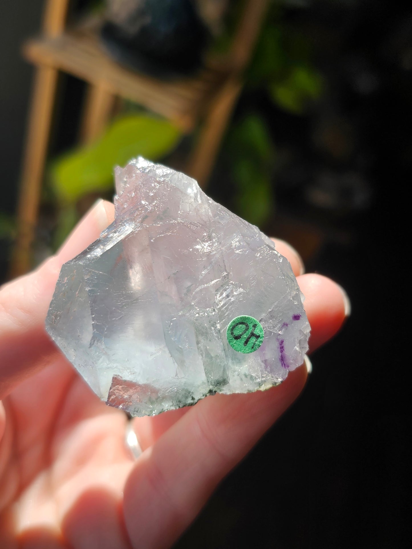 Blue Fluorite