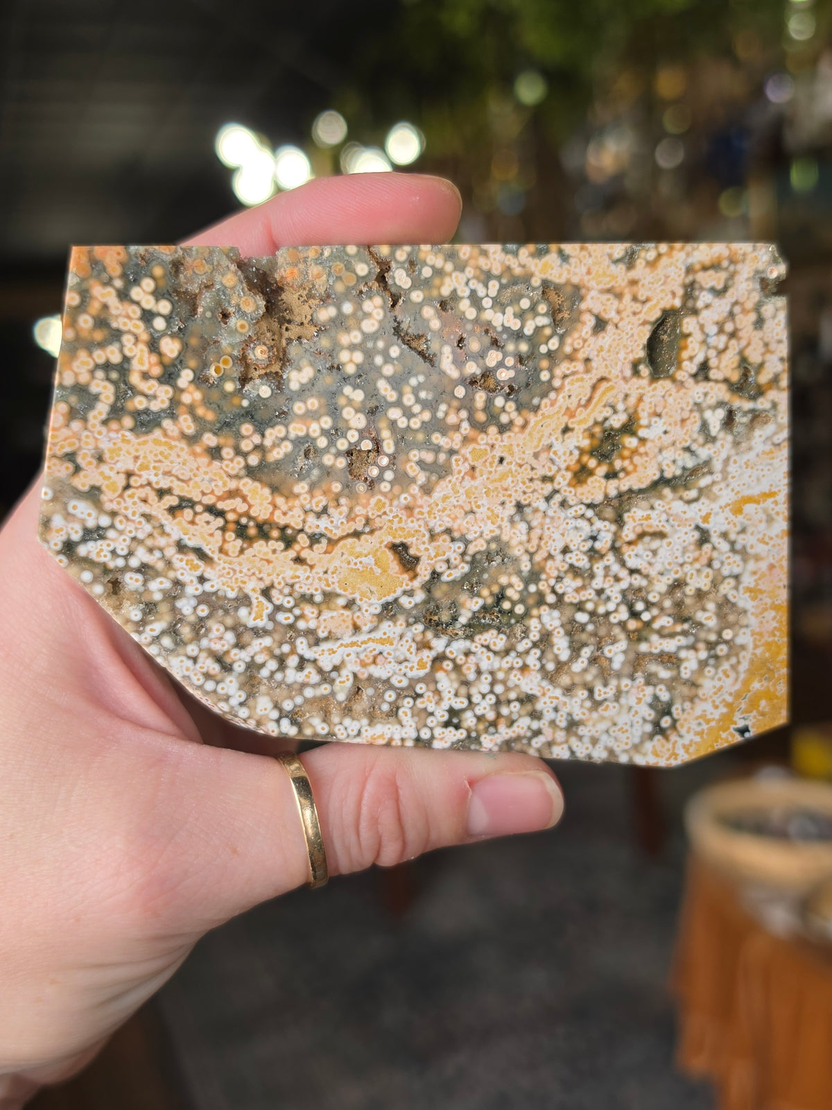 Ocean Jasper Polished Slab