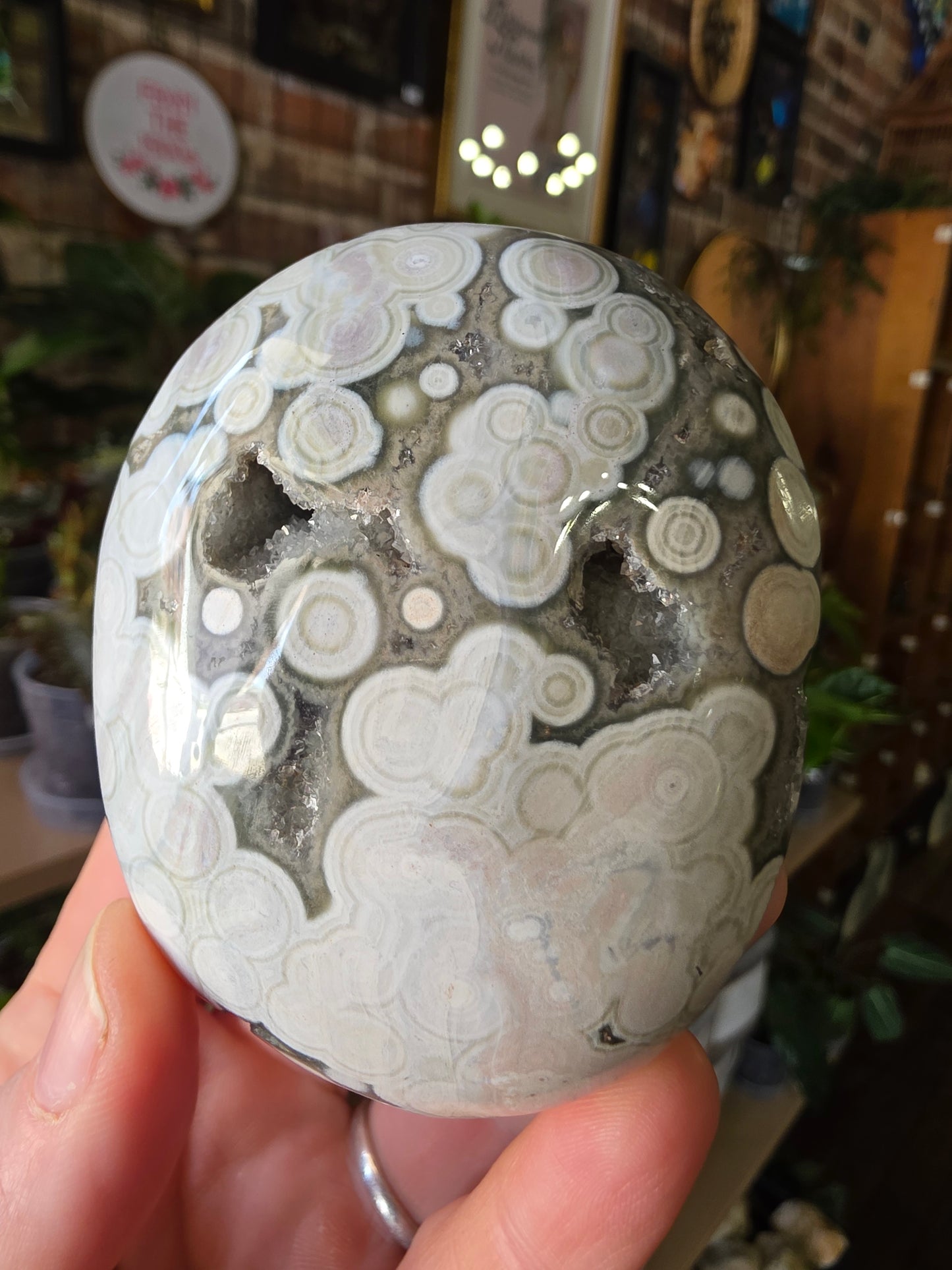 Large Druzy 8th Vein Ocean Jasper Palm Stone