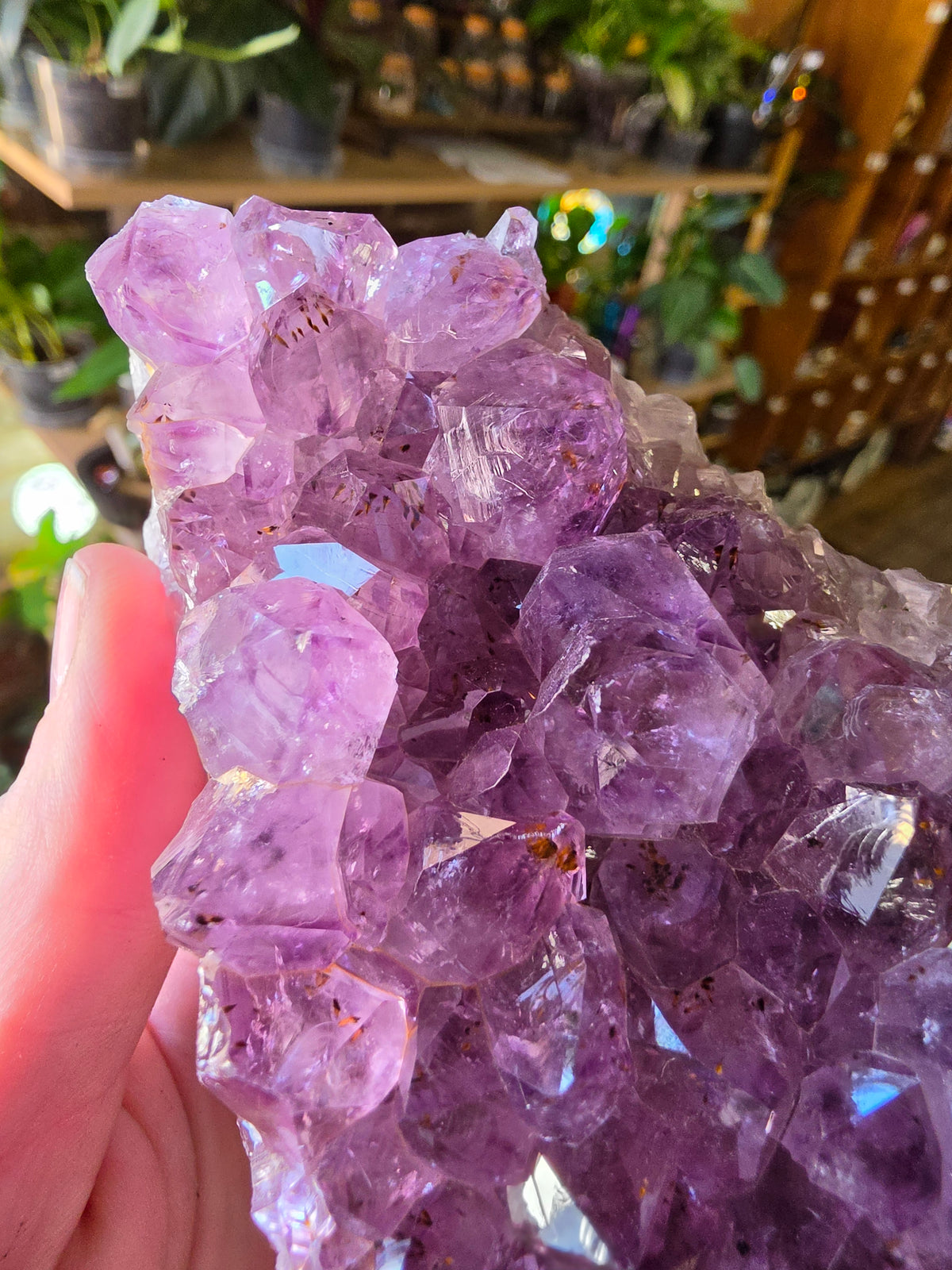 Cut Base Amethyst Cluster