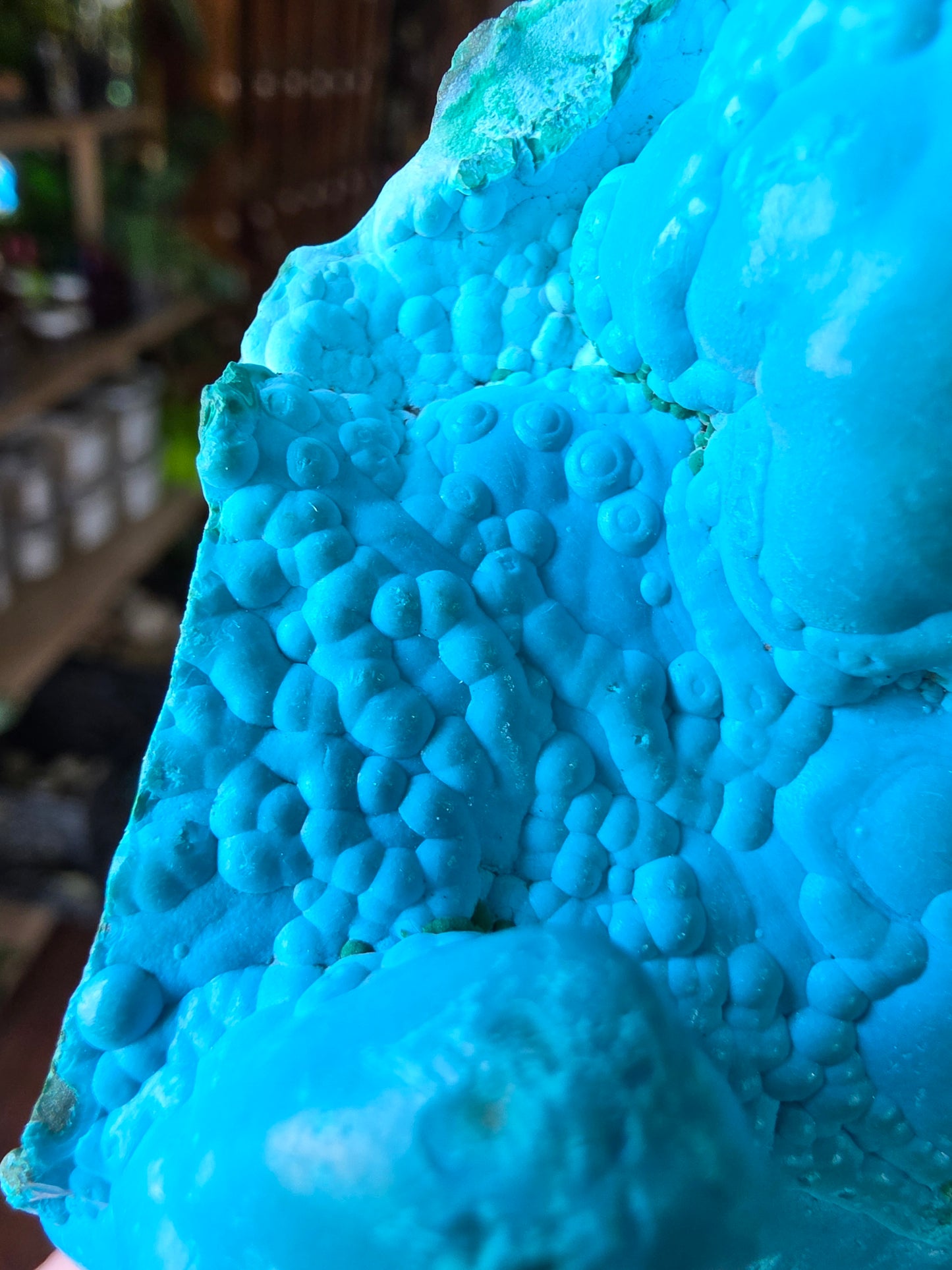 Chrysocolla and Malachite Specimen