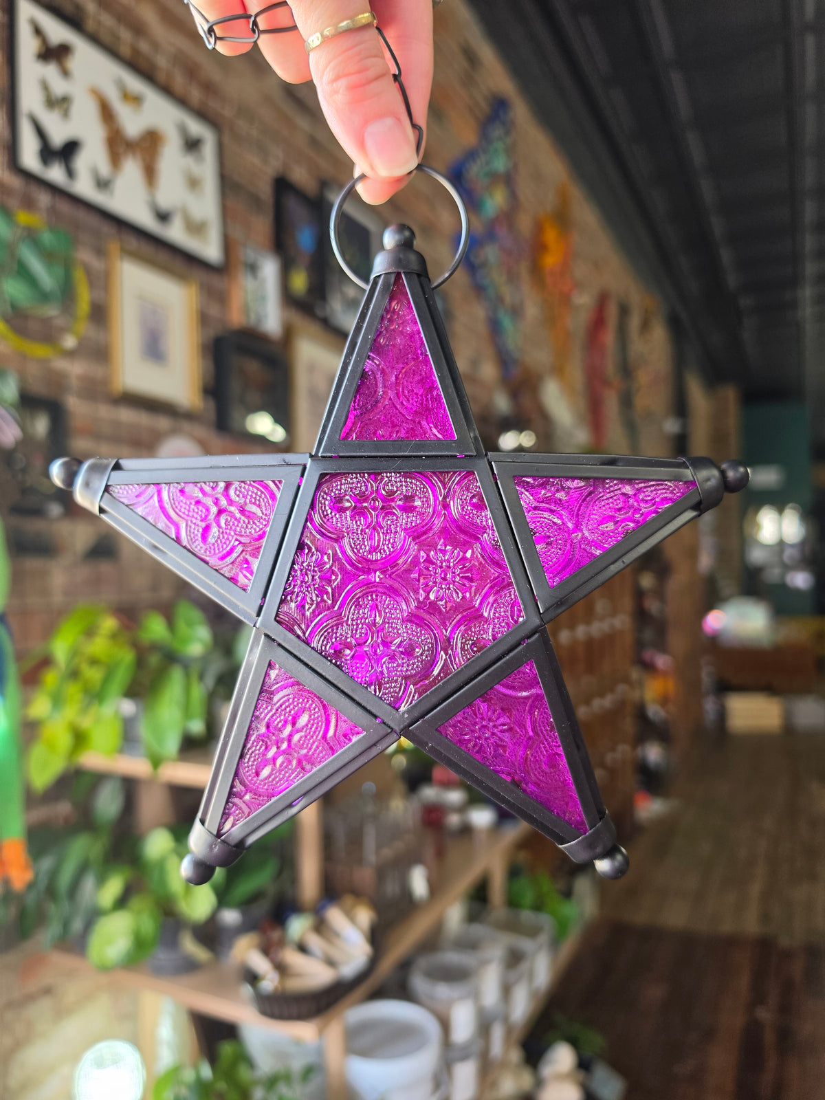 Purple Star Lantern