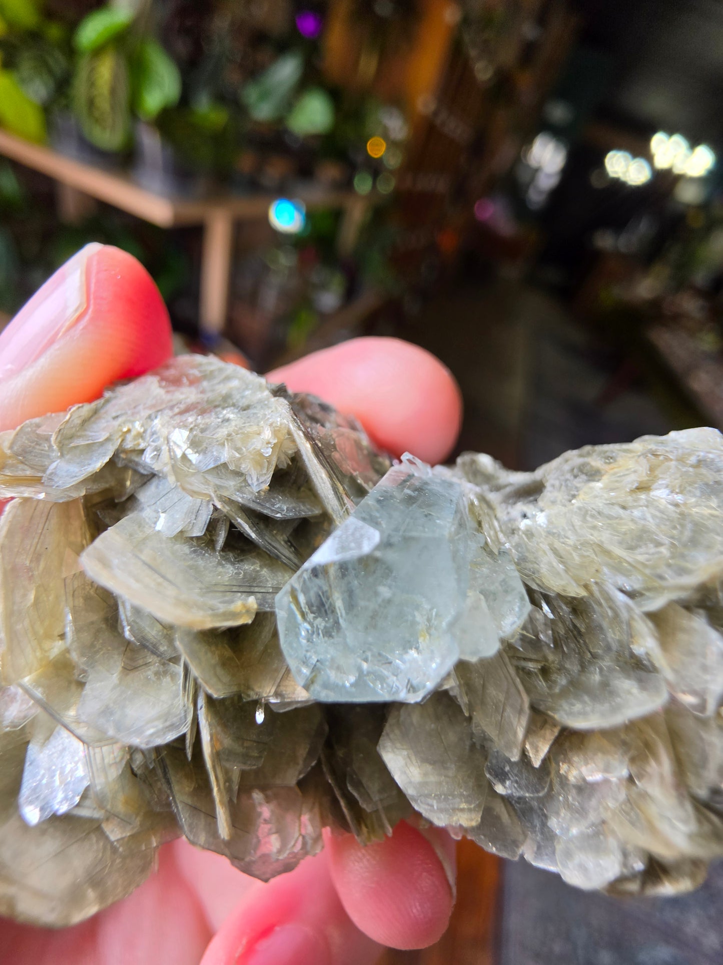 Aquamarine on Muscovite