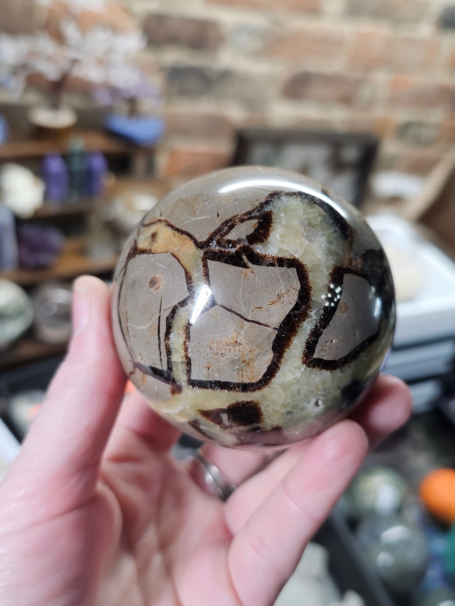 Septarian Nodule Sphere