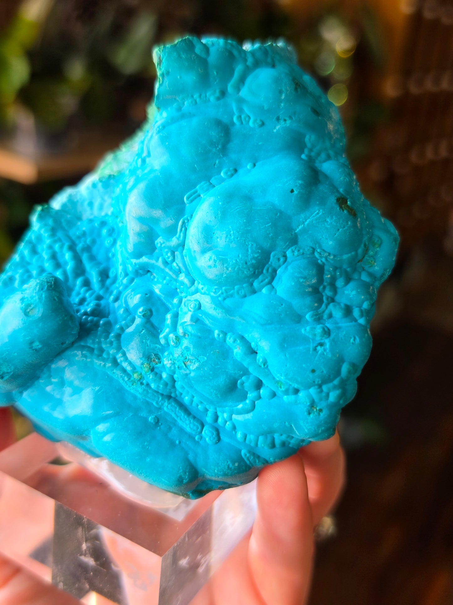 Chrysocolla and Malachite Specimen