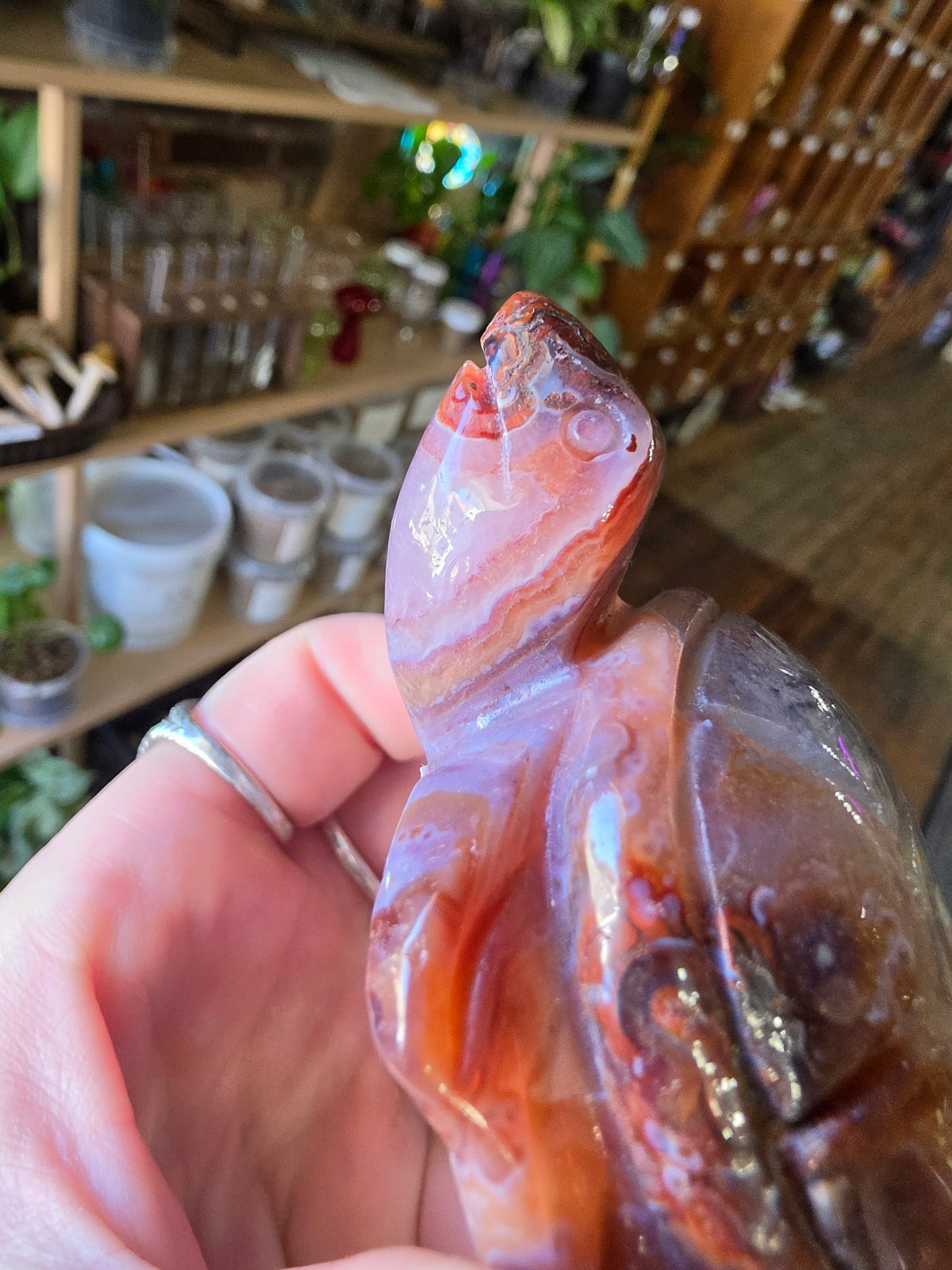 Amethyst Agate Turtle Carving