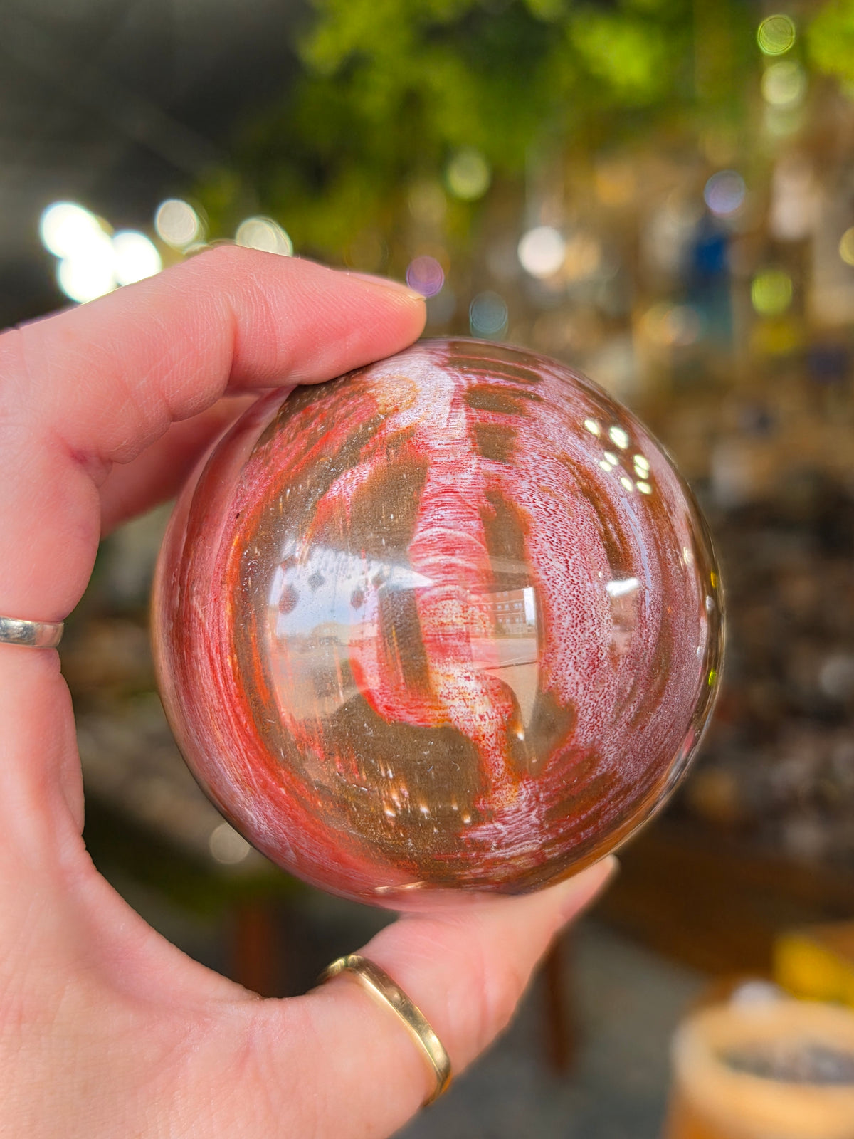 Petrified Wood Sphere