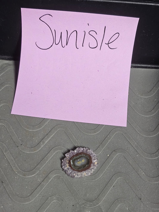 Sunisle 6/6