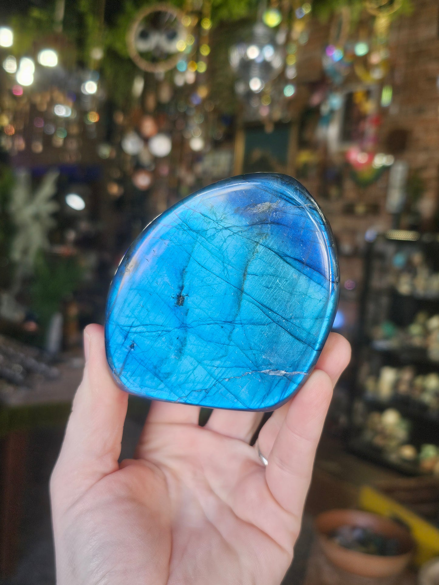 Blue Flash Labradorite freeform